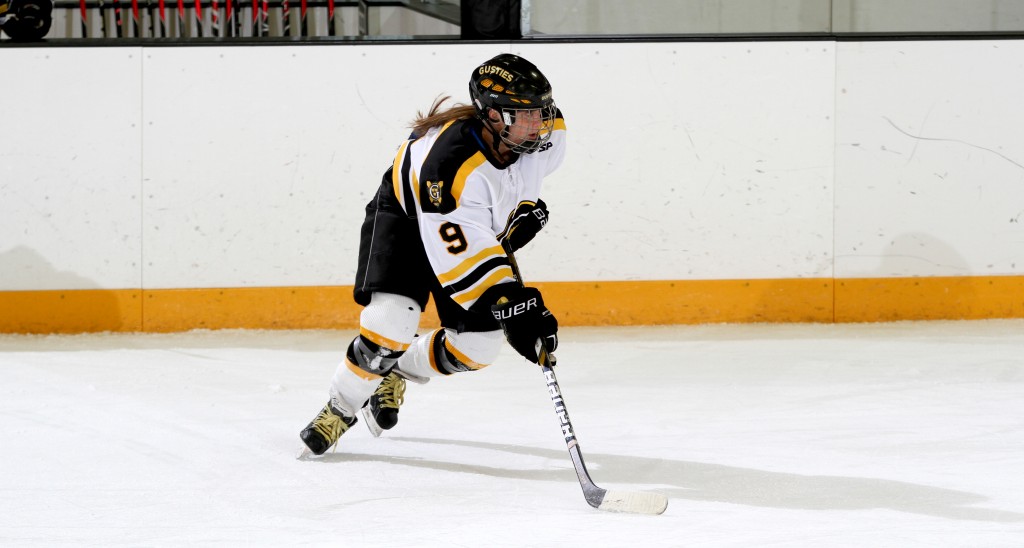 Womens Hockey Ties Uw Superior 2 2 In Top 10 Battle Posted On November 9th 2013 By Tyler Grey 