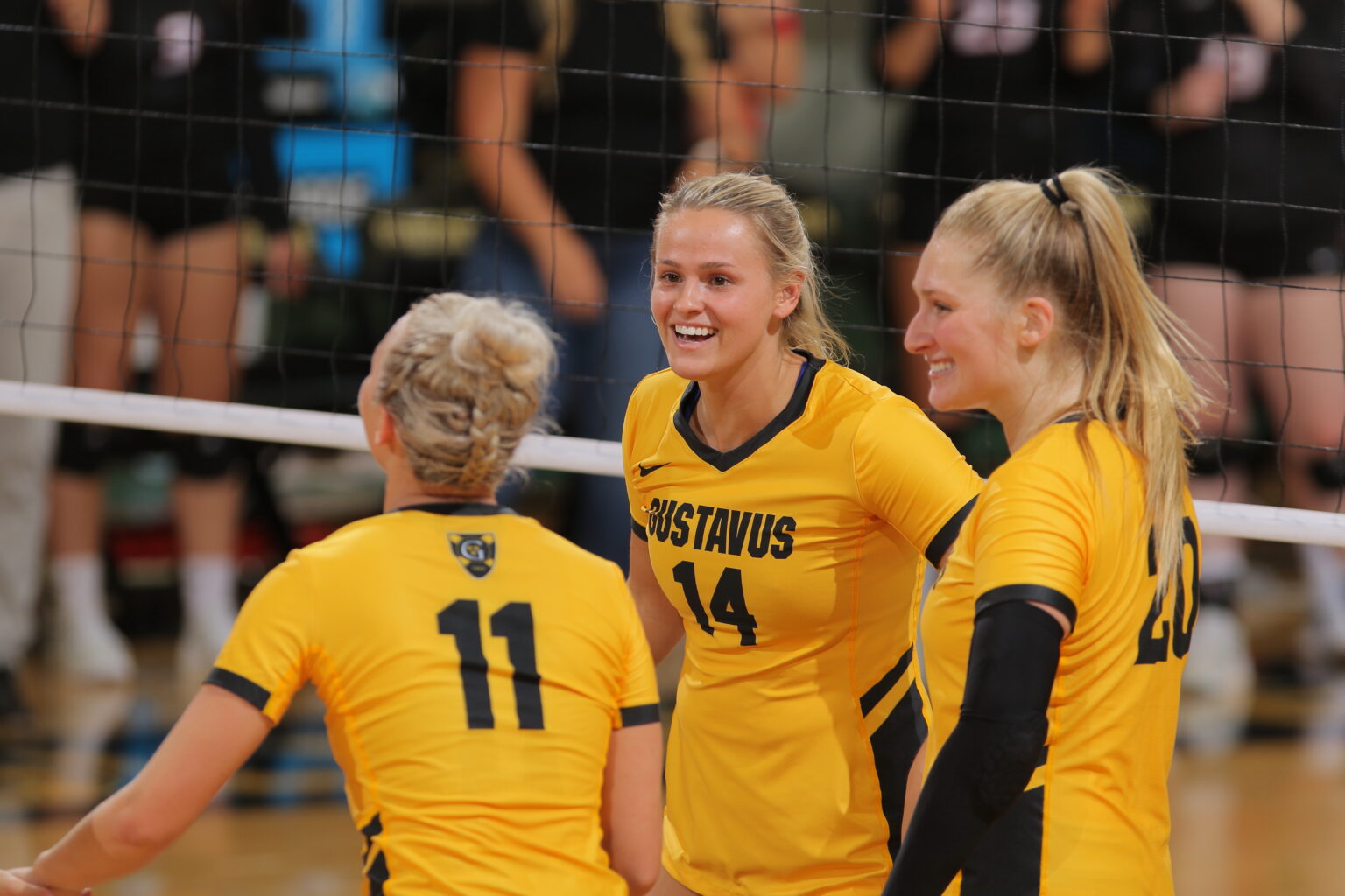 Volleyball Brings Home a 4-0 Finish at Cornell Tournament - Posted on ...