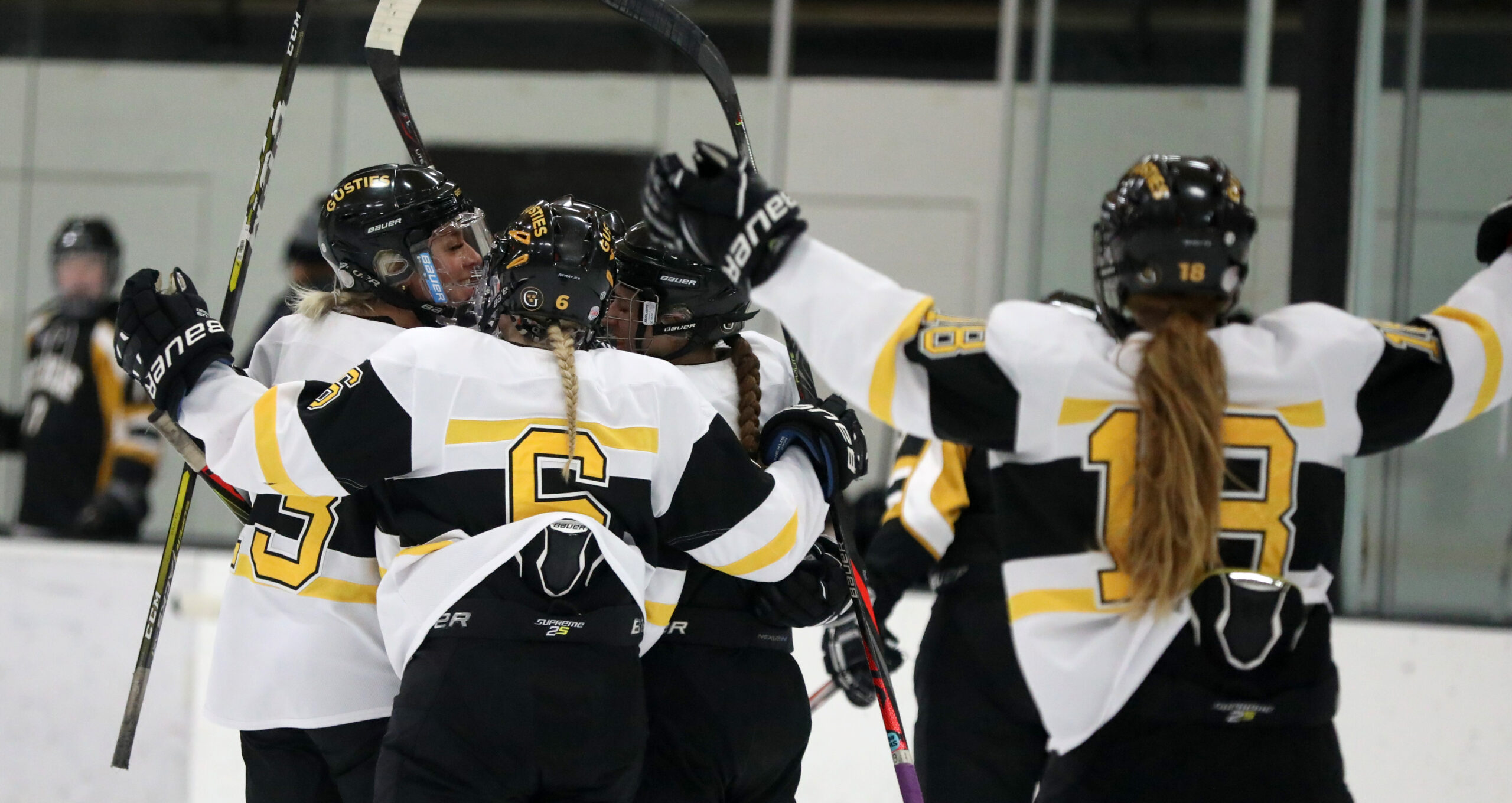 Women’s Hockey Sweeps Concordia Posted on January 22nd, 2022 by CJ
