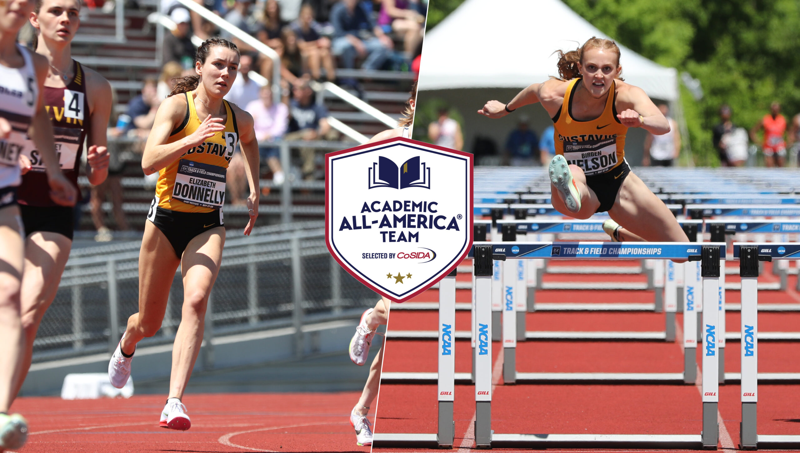 Lamm Repeats as CoSIDA Academic All-America Selection - North