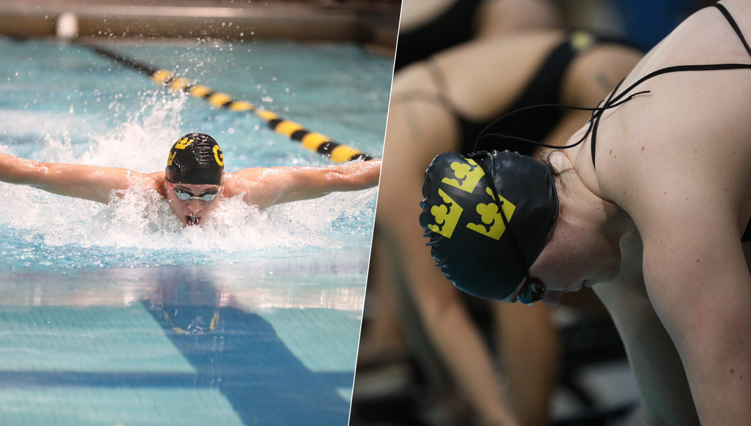 Men's Swimming & Diving Hosts First Ever Home Meet - Wagner College  Athletics