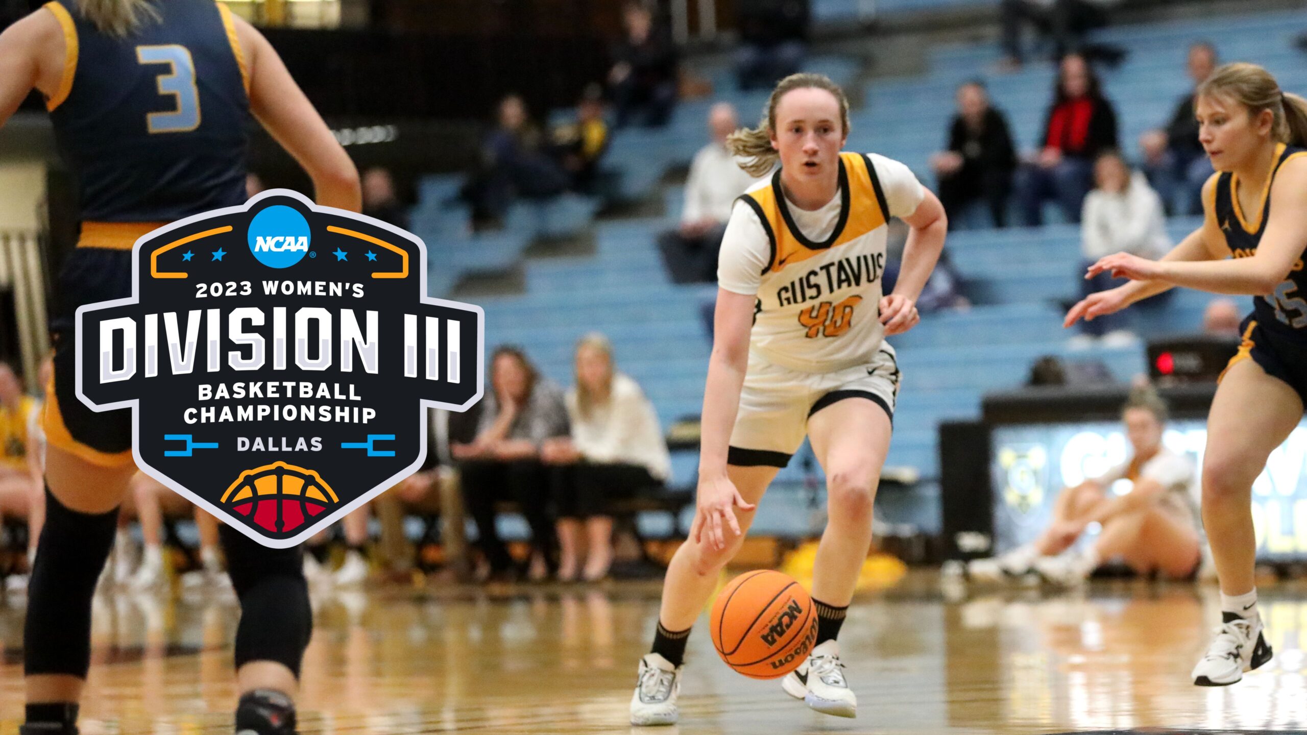 D3 Women's Basketball Colleges: A Complete List (2023)