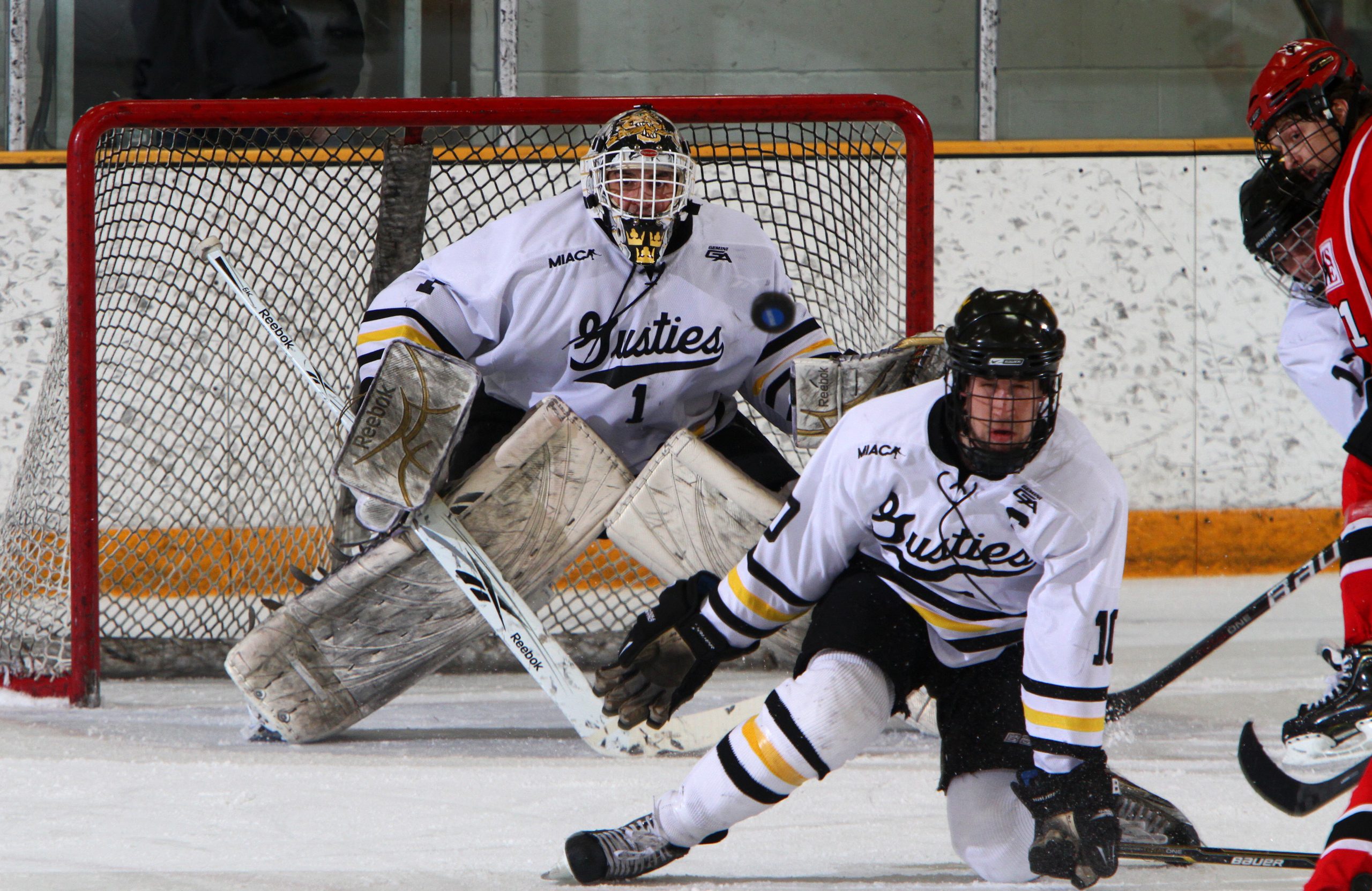 Special Teams Does The Job, Men’s Hockey Edges MSOE 3-1 In First Round Of NCAA Tournament