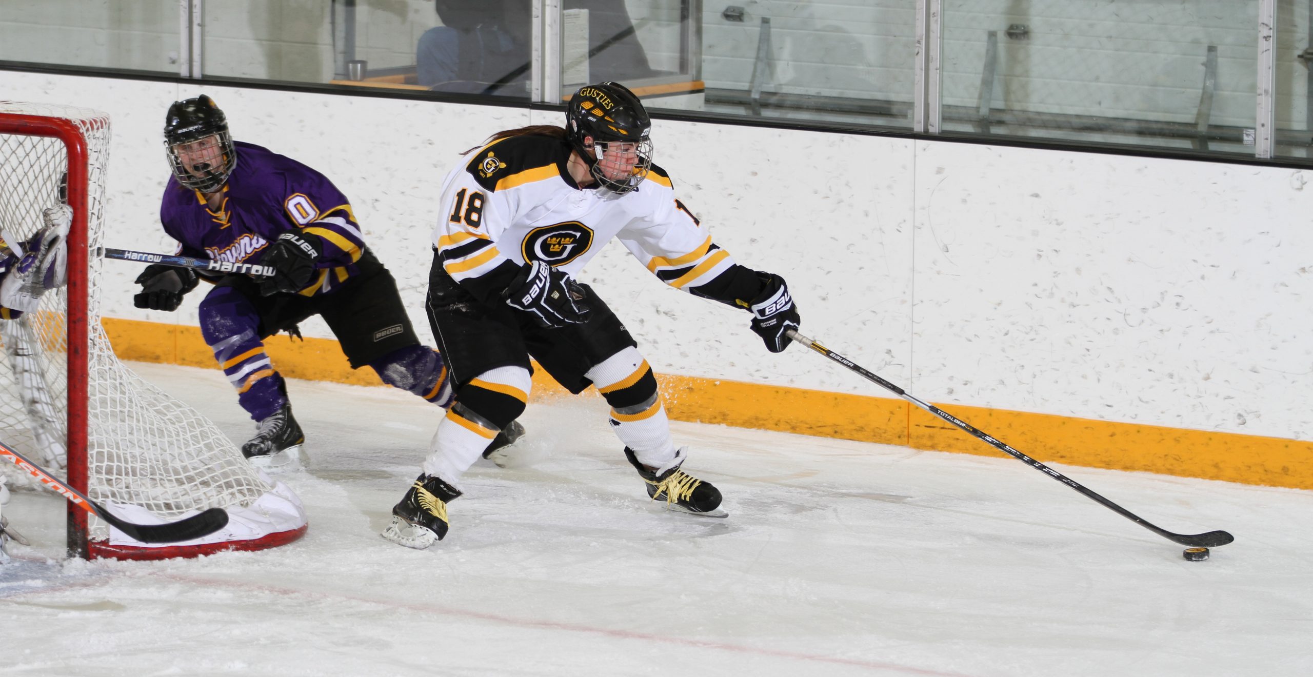 Women’s Hockey Battles To 1-0 Win Over UW-Stevens Point