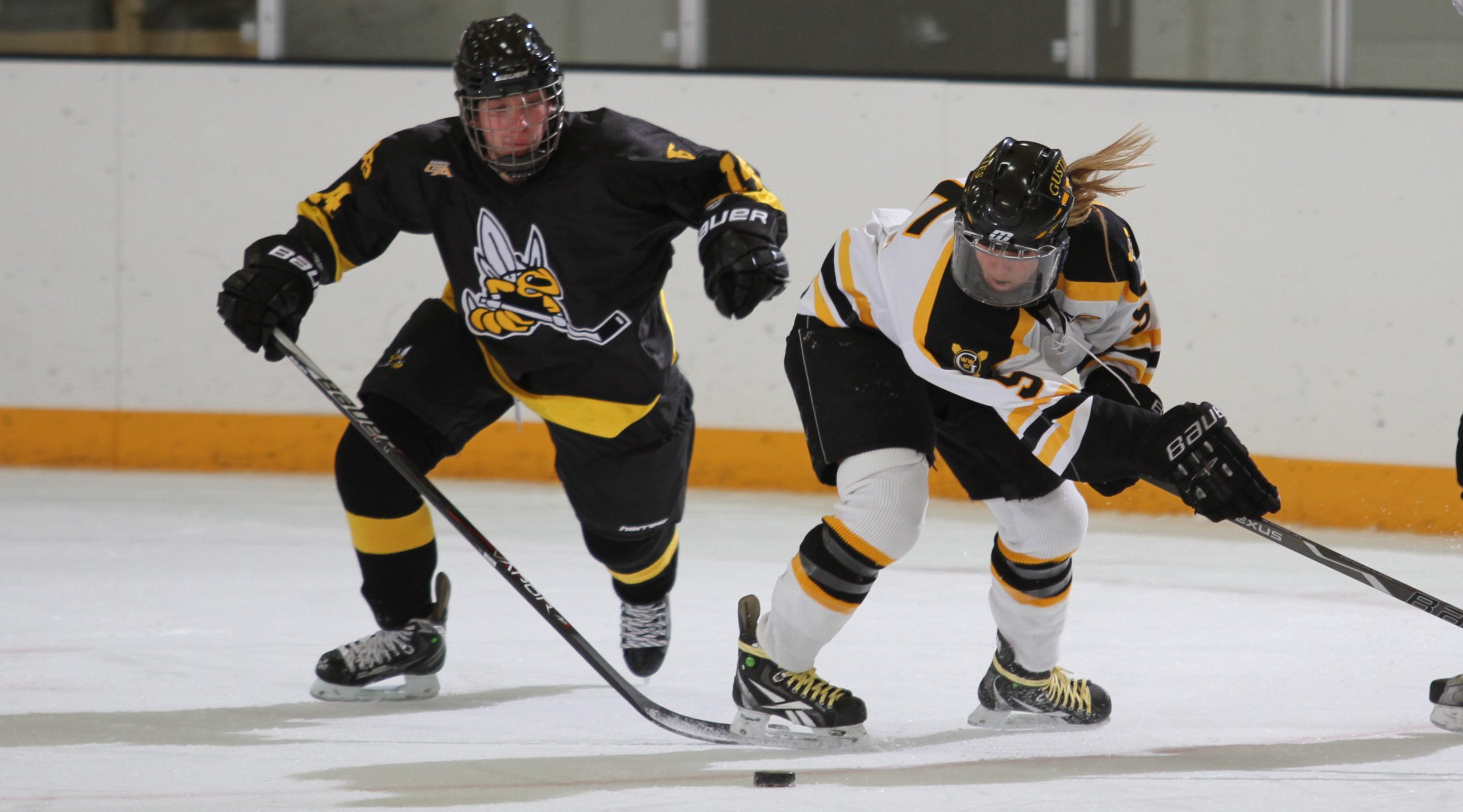 Women’s Hockey Set For Top-Ten Showdown With UW-Superior Tuesday