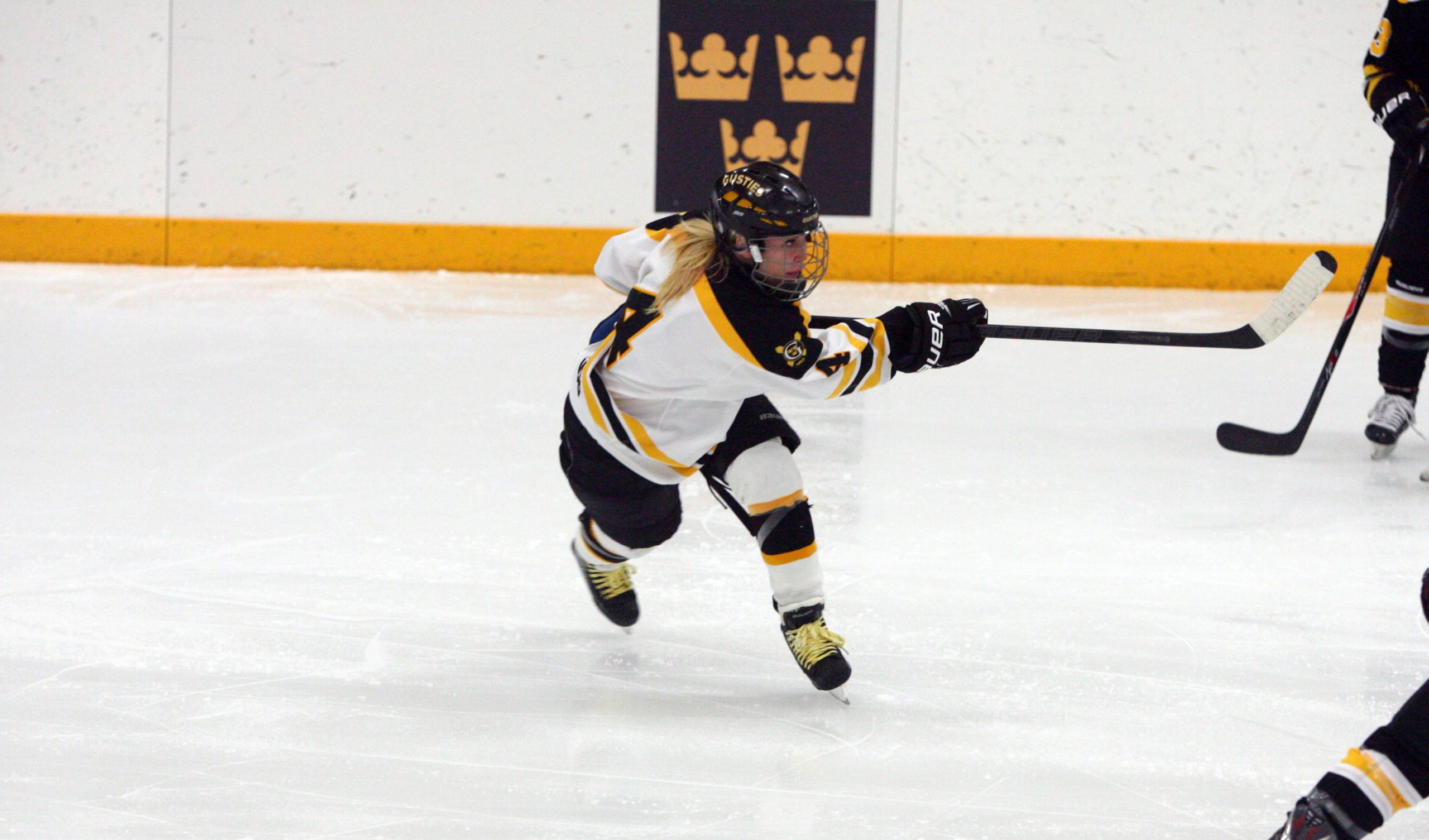 Early Deficit Proves Costly, Women’s Hockey Falls To No. 9 UW-Superior 2-1