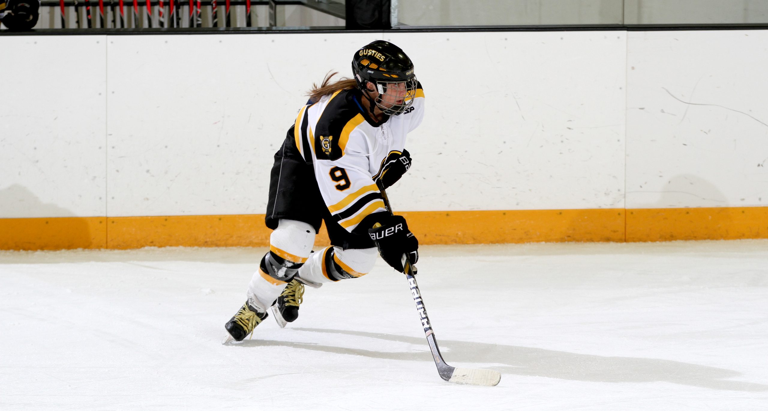 Women’s Hockey Ties UW-Superior 2-2 In Top 10 Battle