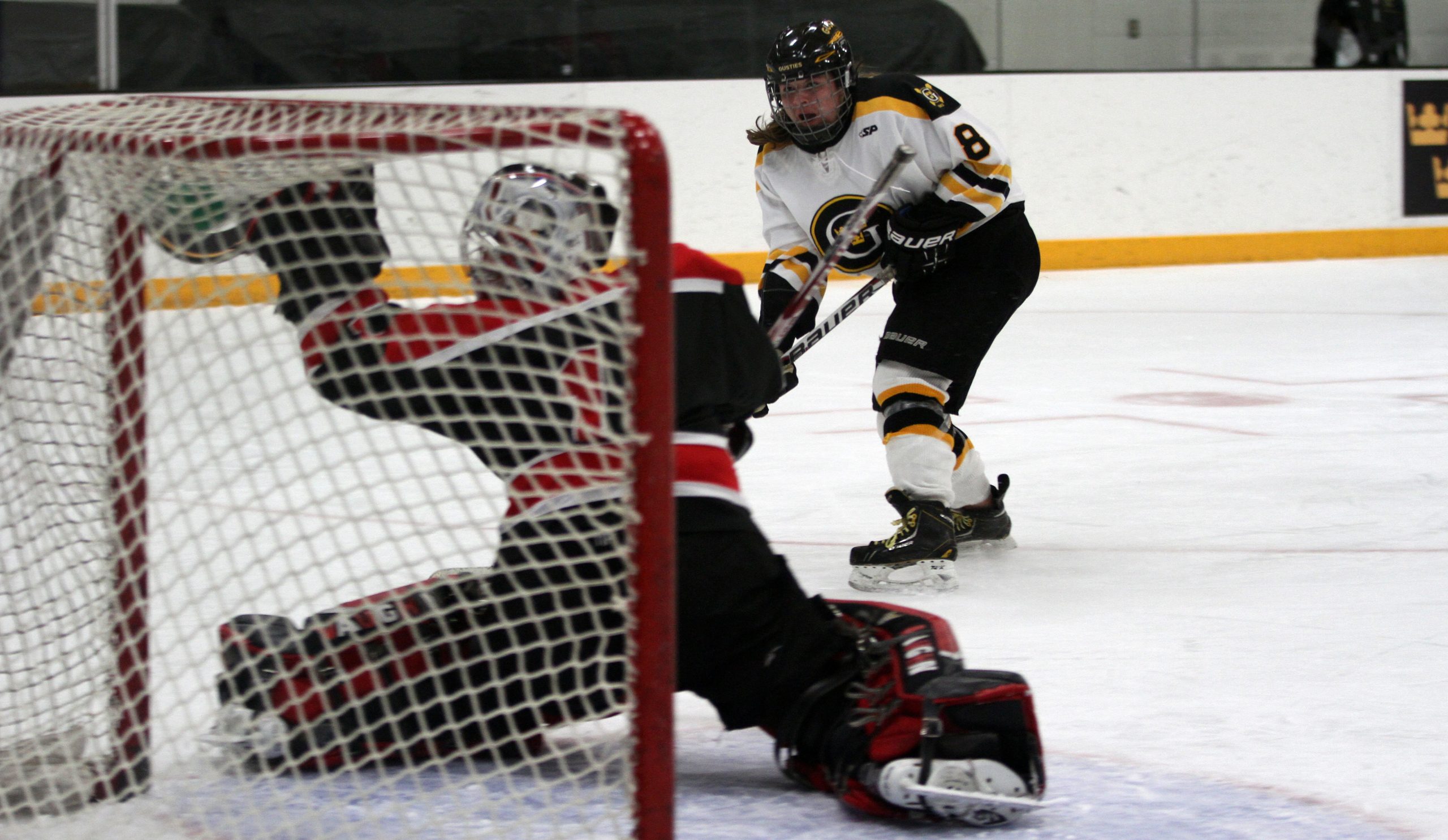 Women’s Hockey Finishes 2013 With 3-0 Loss To No. 10 UW-River Falls