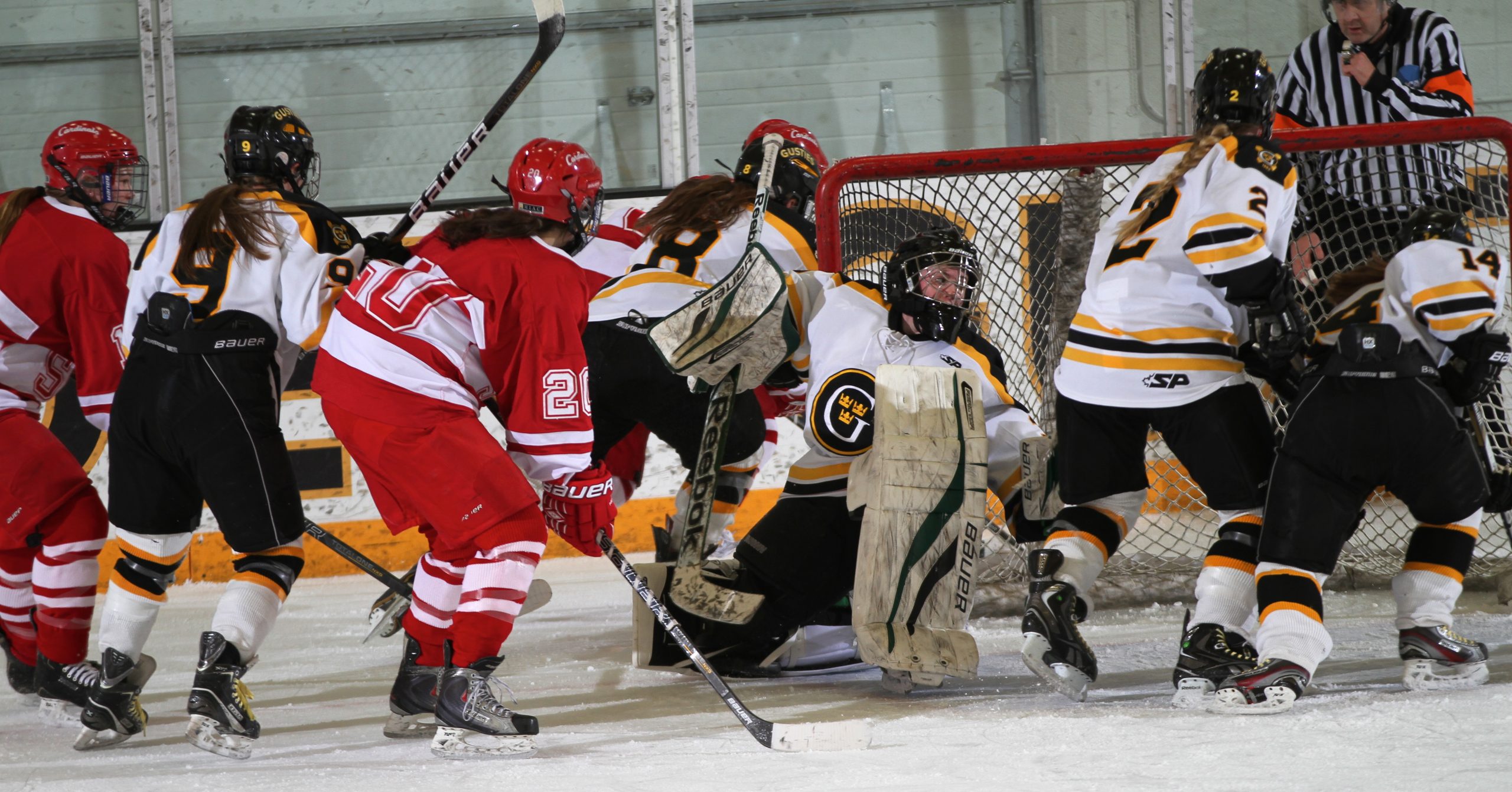 Women’s Hockey Shuts Out Saint Mary’s 5-0, Completes Sweep