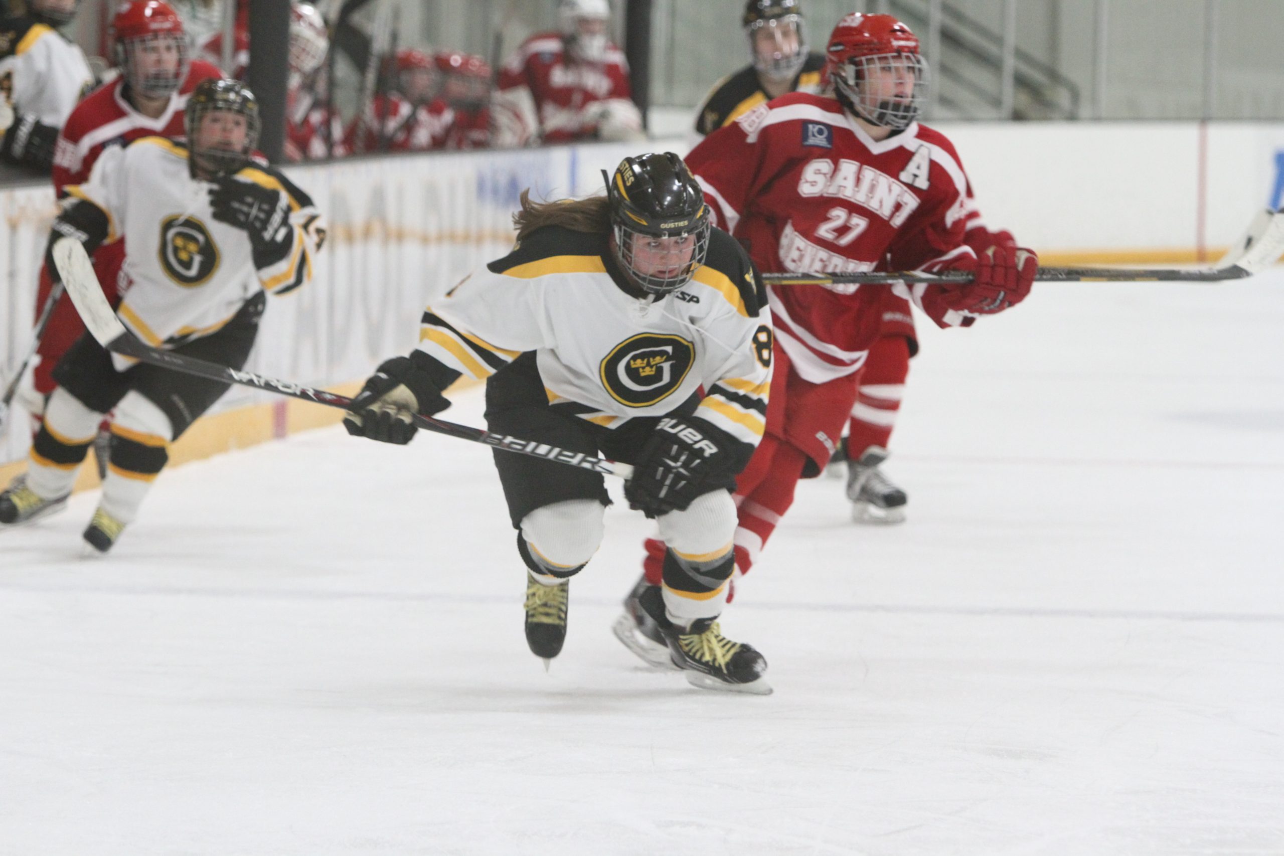 Women’s Hockey Suffers 4-2 Loss To Saint Benedict