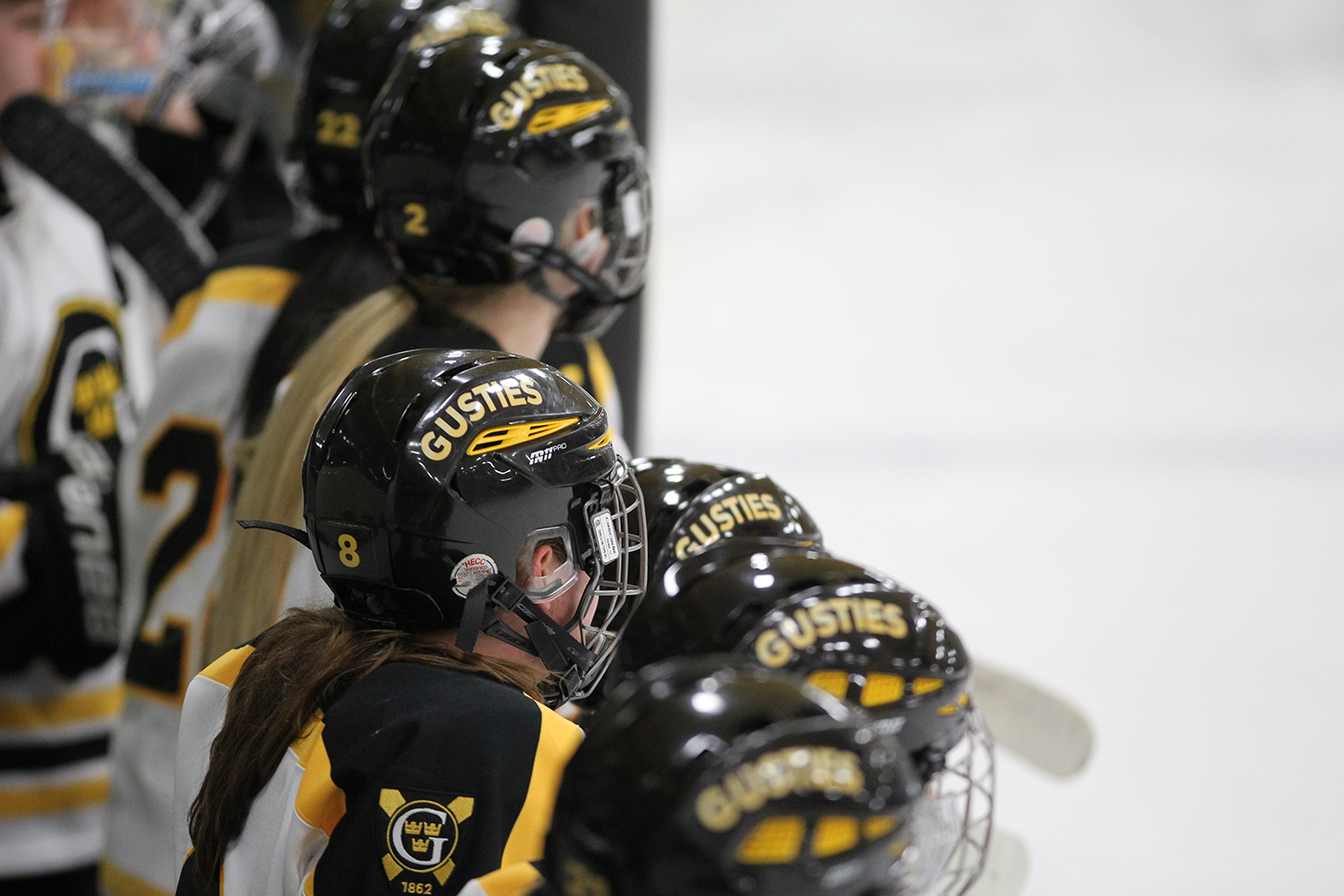 Women’s Hockey Ranked In Top 10 In Two Preseason Polls