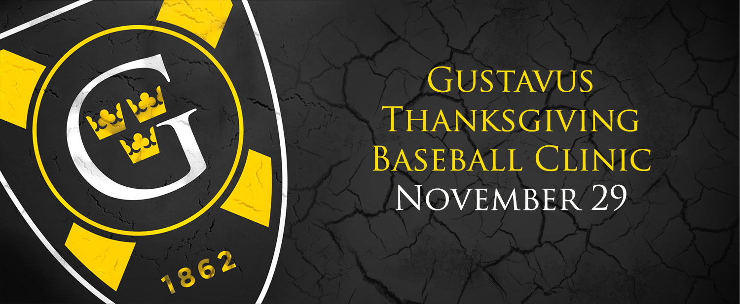 Baseball Team To Host Clinic Over Thanksgiving Weekend