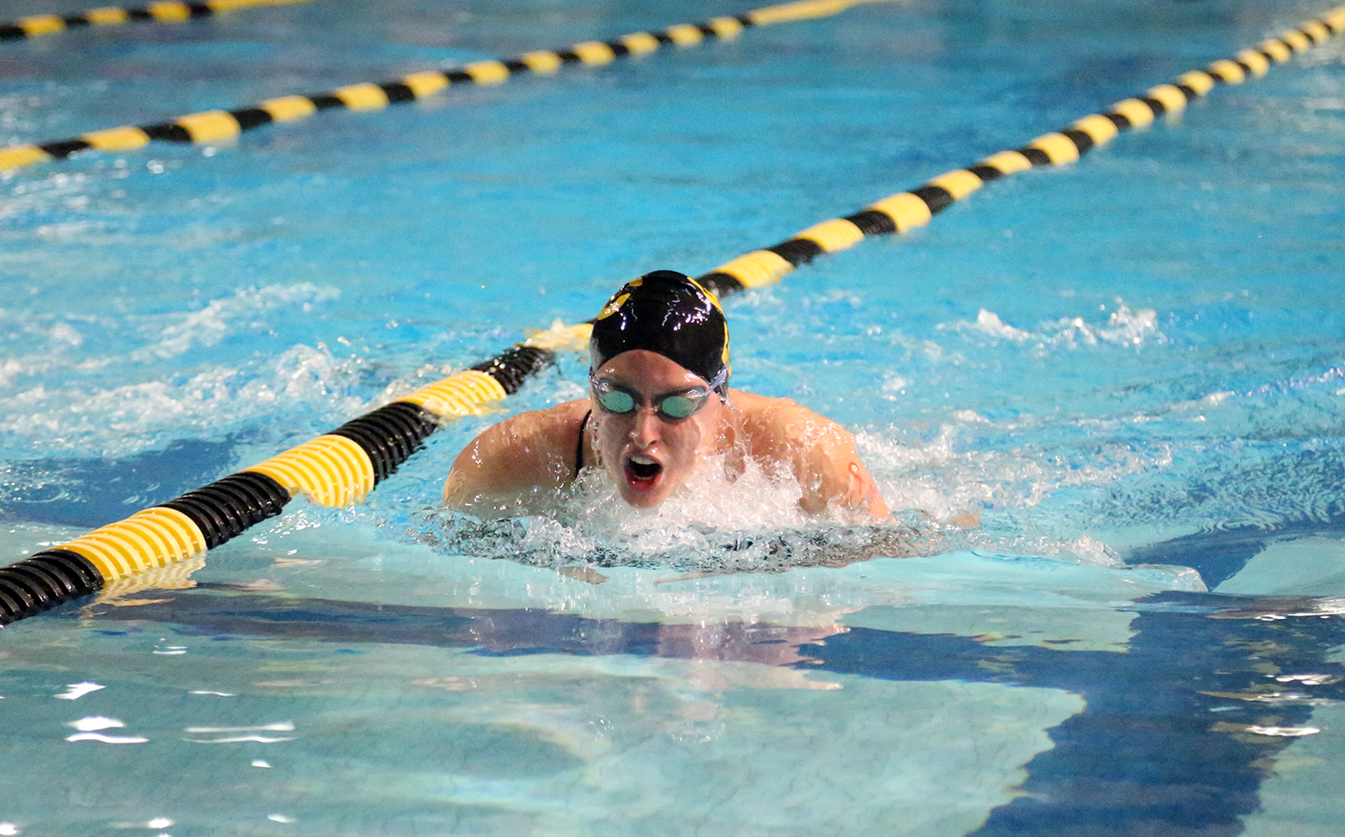 Women’s Swimming & Diving Wins Grace Goblirsch Memorial Invite