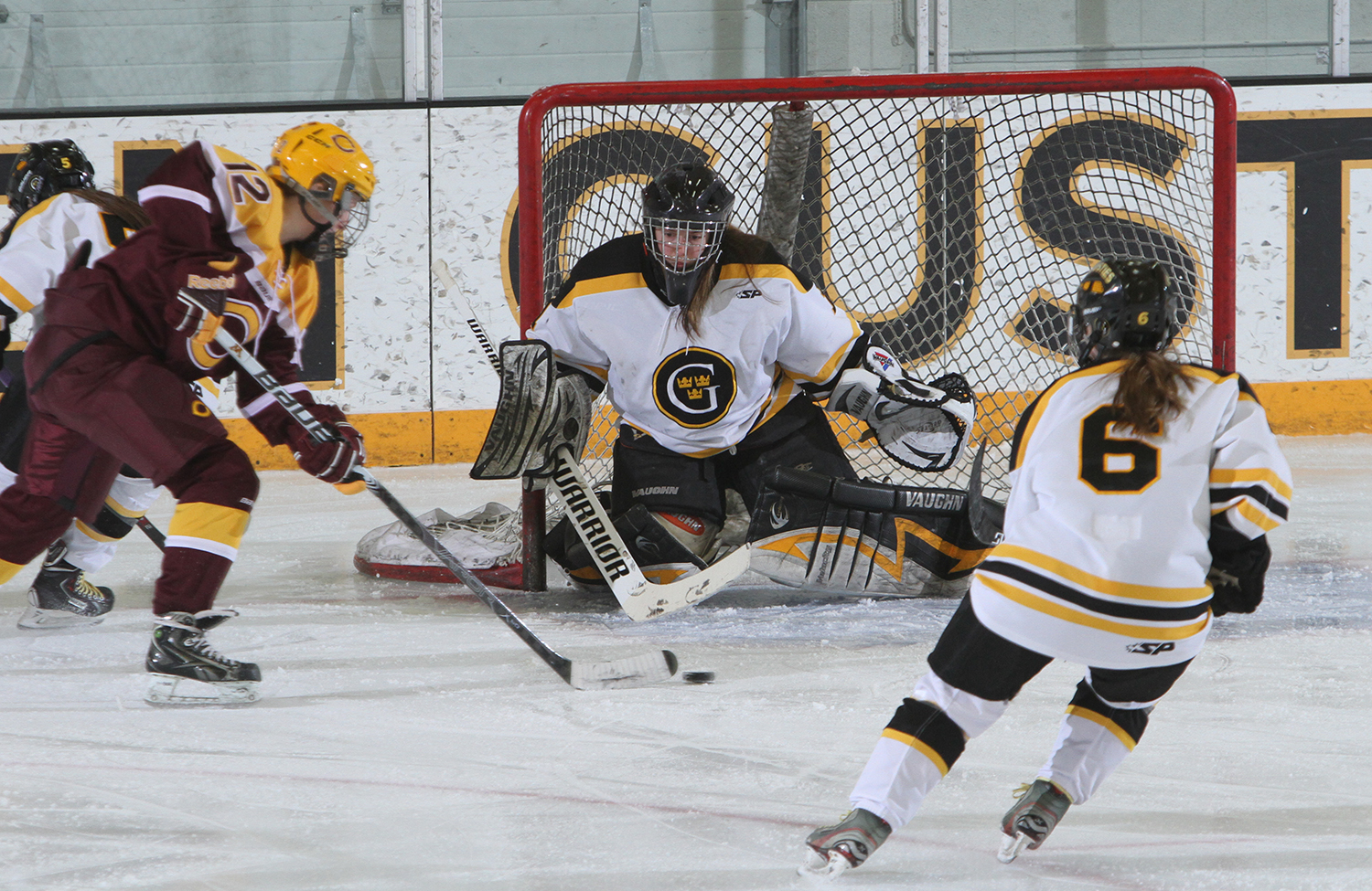 Women’s Hockey Completes Sweep Of Concordia With 2-0 Victory