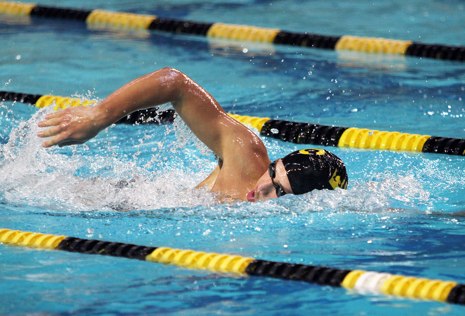 Men’s Swimming & Diving Falls to UW-Stevens Point 219-75