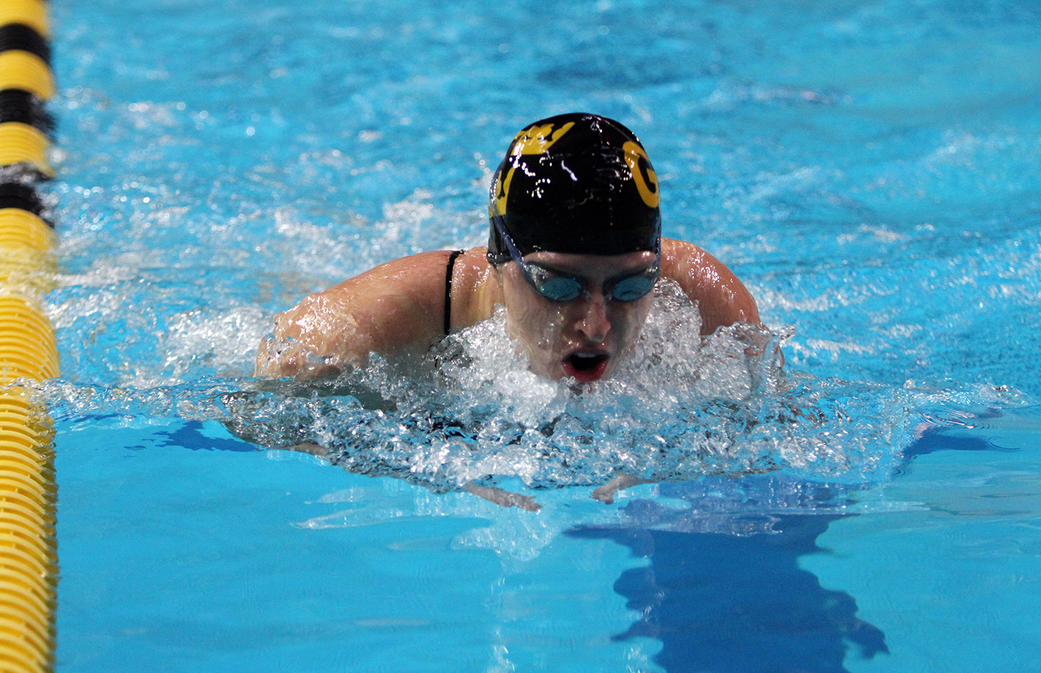 Women’s Swimming & Diving Takes Down UW-Stevens Point And MSU, Mankato