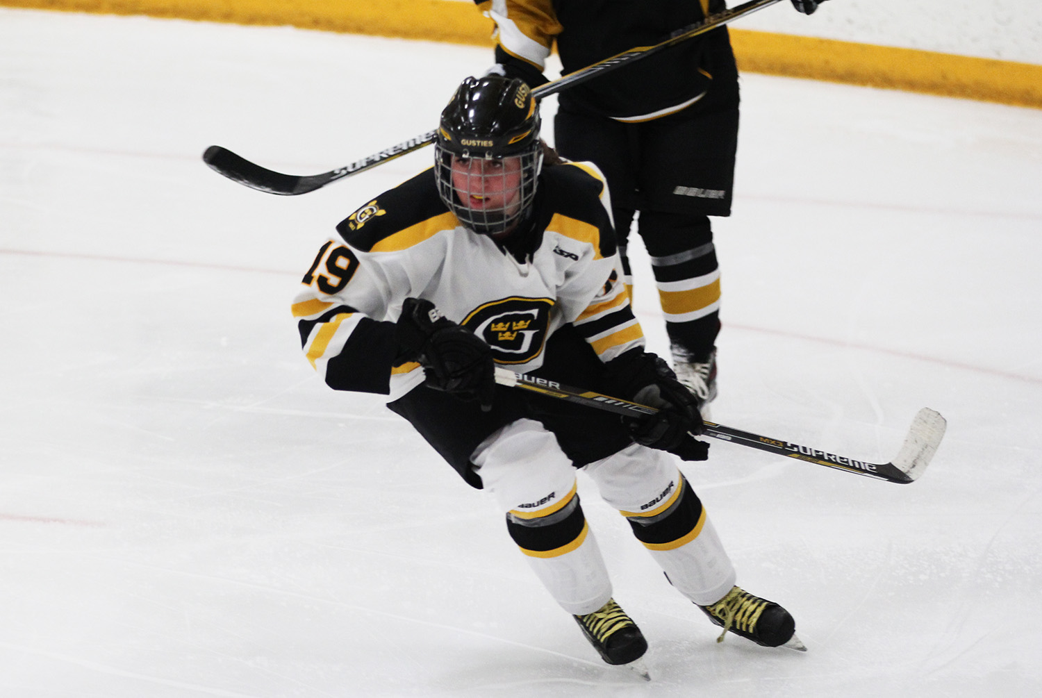 Women’s Hockey To Host No. 7 UW-Stevens Point On Saturday