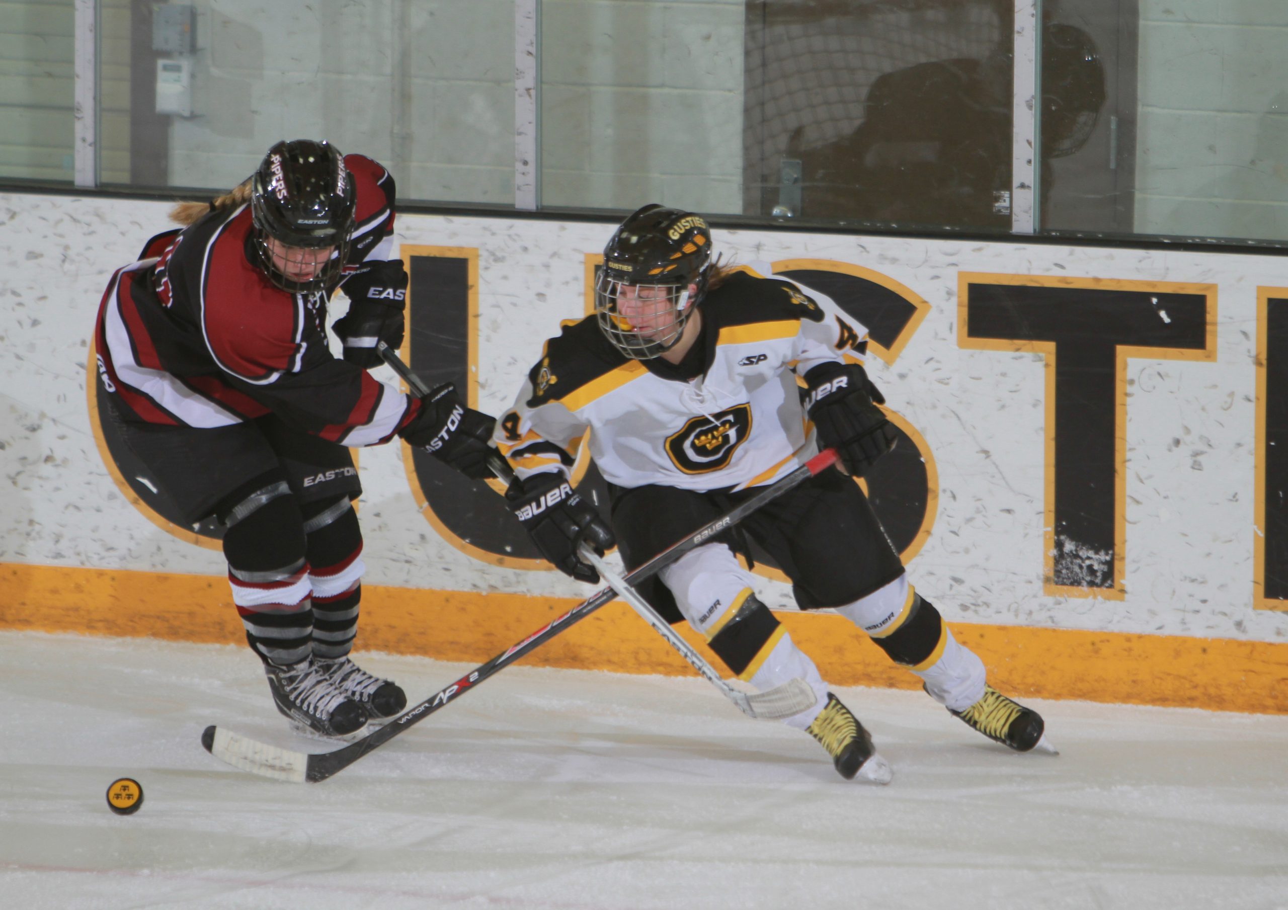 Back in Minnesota: Women’s Hockey To Face St. Olaf In Home-Home Series