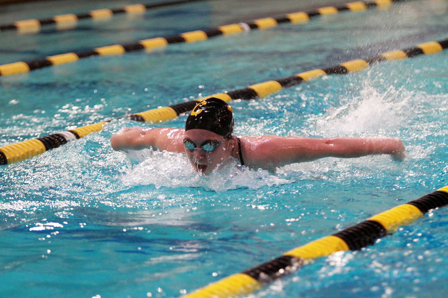 Women’s Swimming & Diving Cruises Past St. Thomas 182-116 In Home Finale