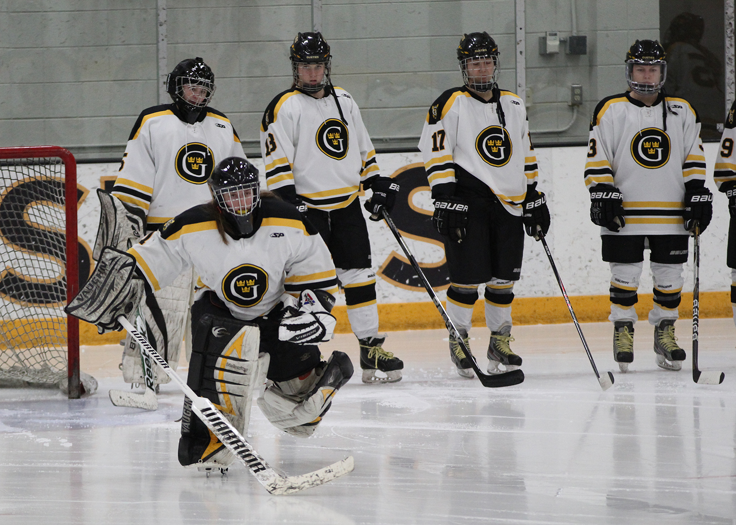 Women’s Hockey Ranked Fifth In Most Recent USCHO Poll