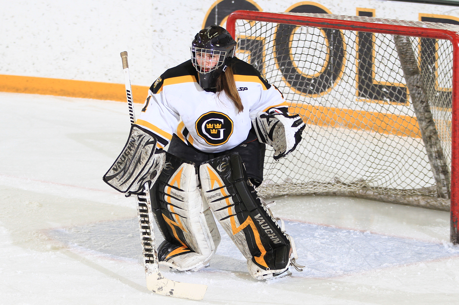 Women’s Hockey Falls To No. 7 Adrian 1-0