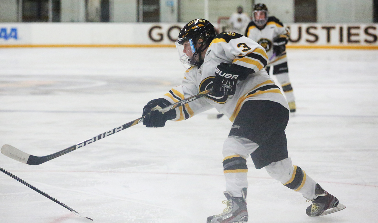 Women’s Hockey Falls To No. 6 and No. 7 In USCHO, D3Hockey Polls