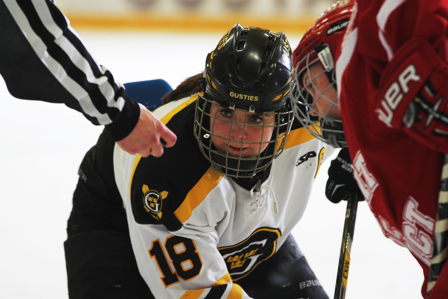 Carolyn Draayer Named Winner Of Sheila Brown Award