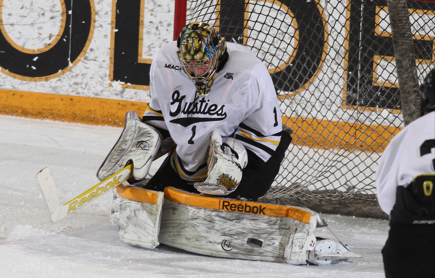 Men’s Hockey Keeps Playoff Hopes Alive With 1-1 Draw, Shootout Win Against St. Thomas