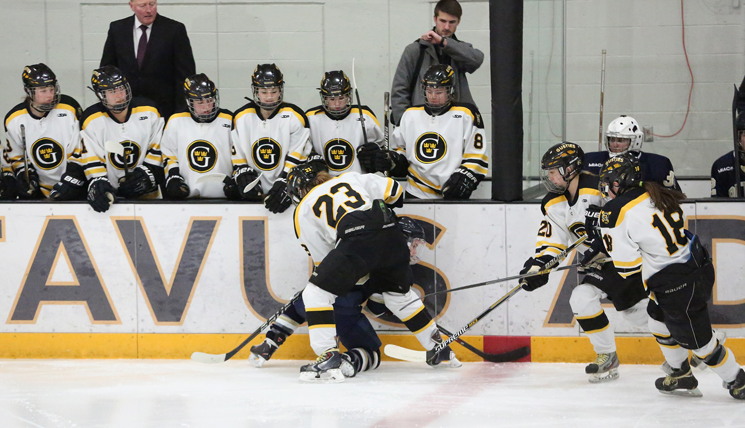 Women’s Hockey Falls To No. 9 In Most Recent USCHO Poll