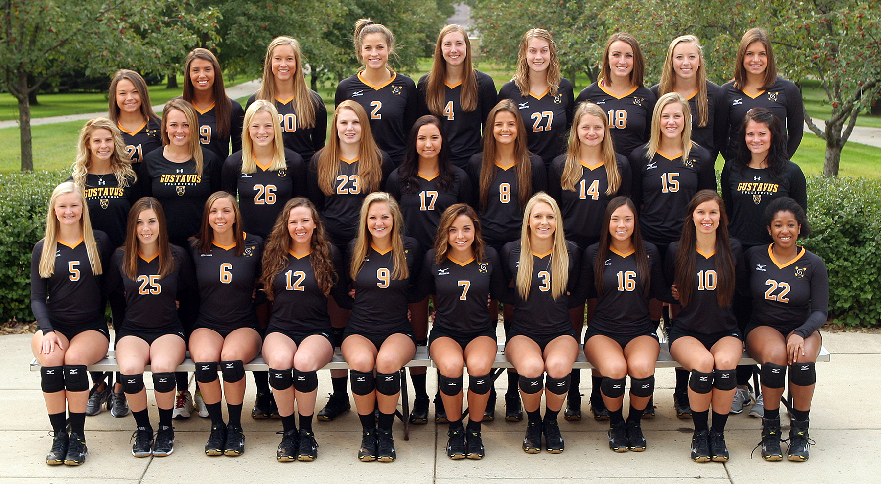 2015 Gustavus Adolphus Volleyball Season Preview