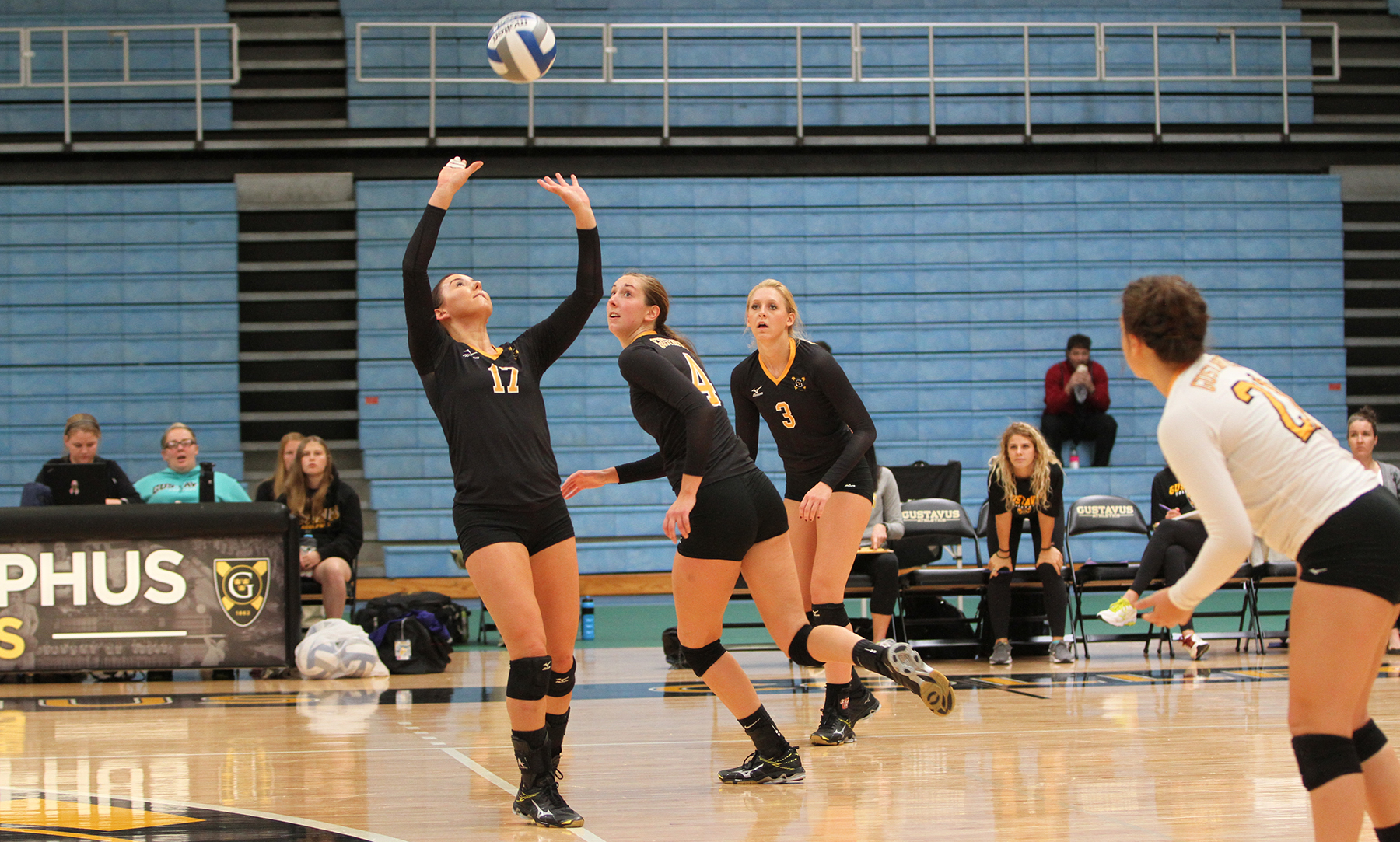 Volleyball Claims Wins Over UW-Stout, Luther At Home Quadrangular