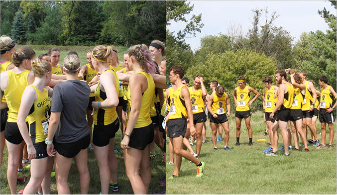 Cross Country Teams Head To Wisconsin For Falcon Invite Tonight