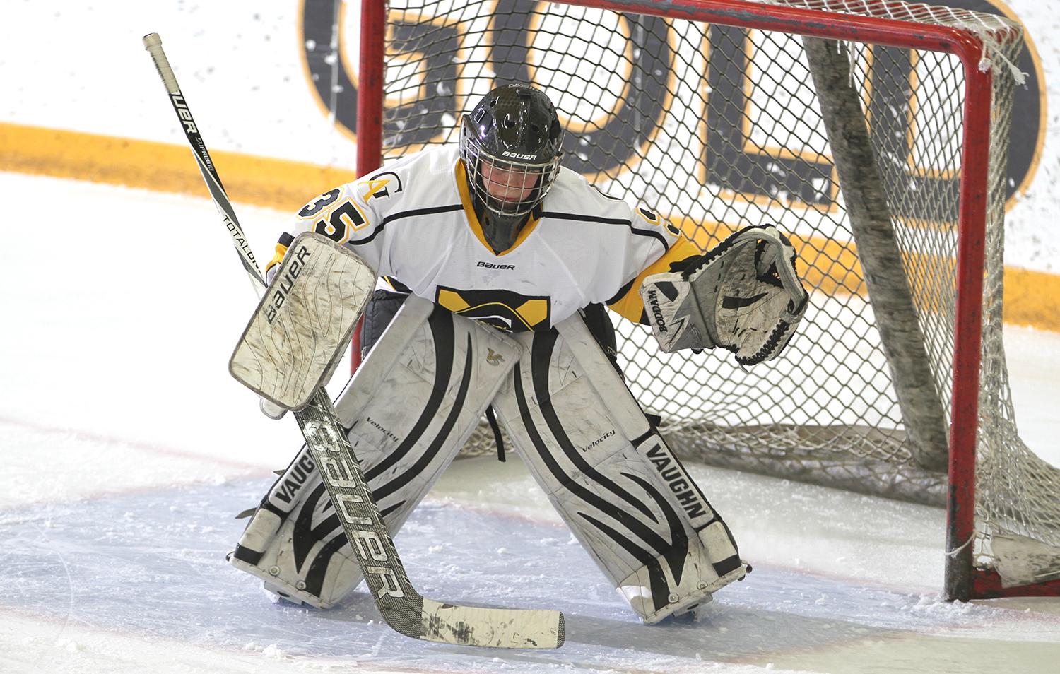 Women’s Hockey Drops Narrow Overtime Loss To No. 8 UW-River Falls