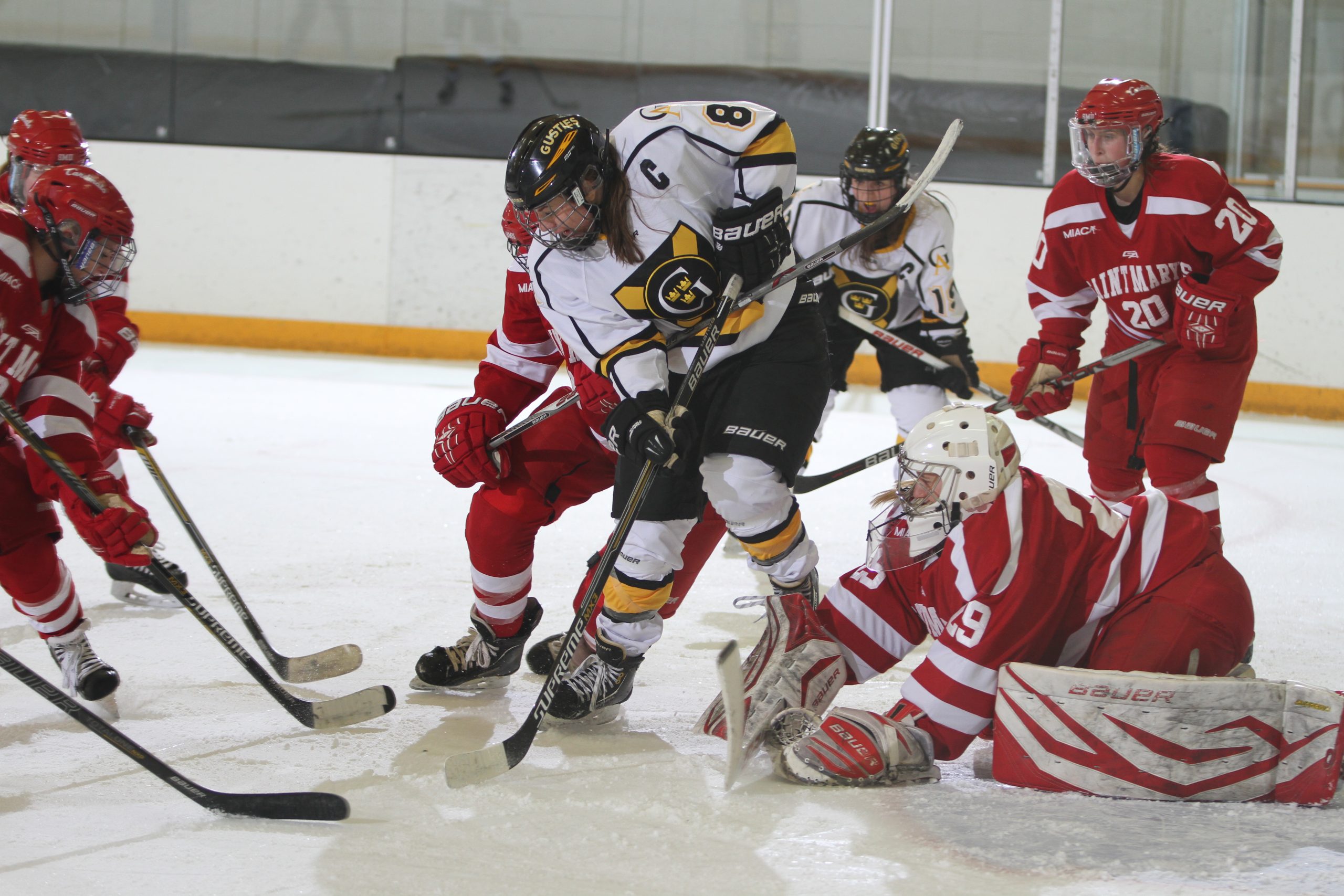 Women’s Hockey Suffers 2-0 Setback To Saint Mary’s