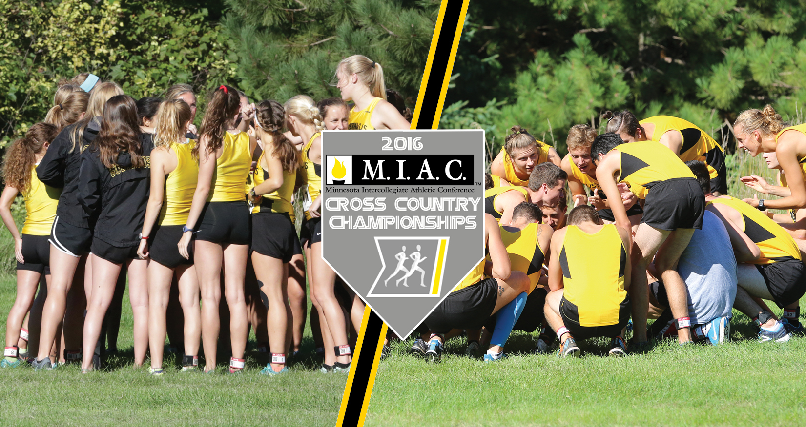 Cross Country Set For MIAC Championships