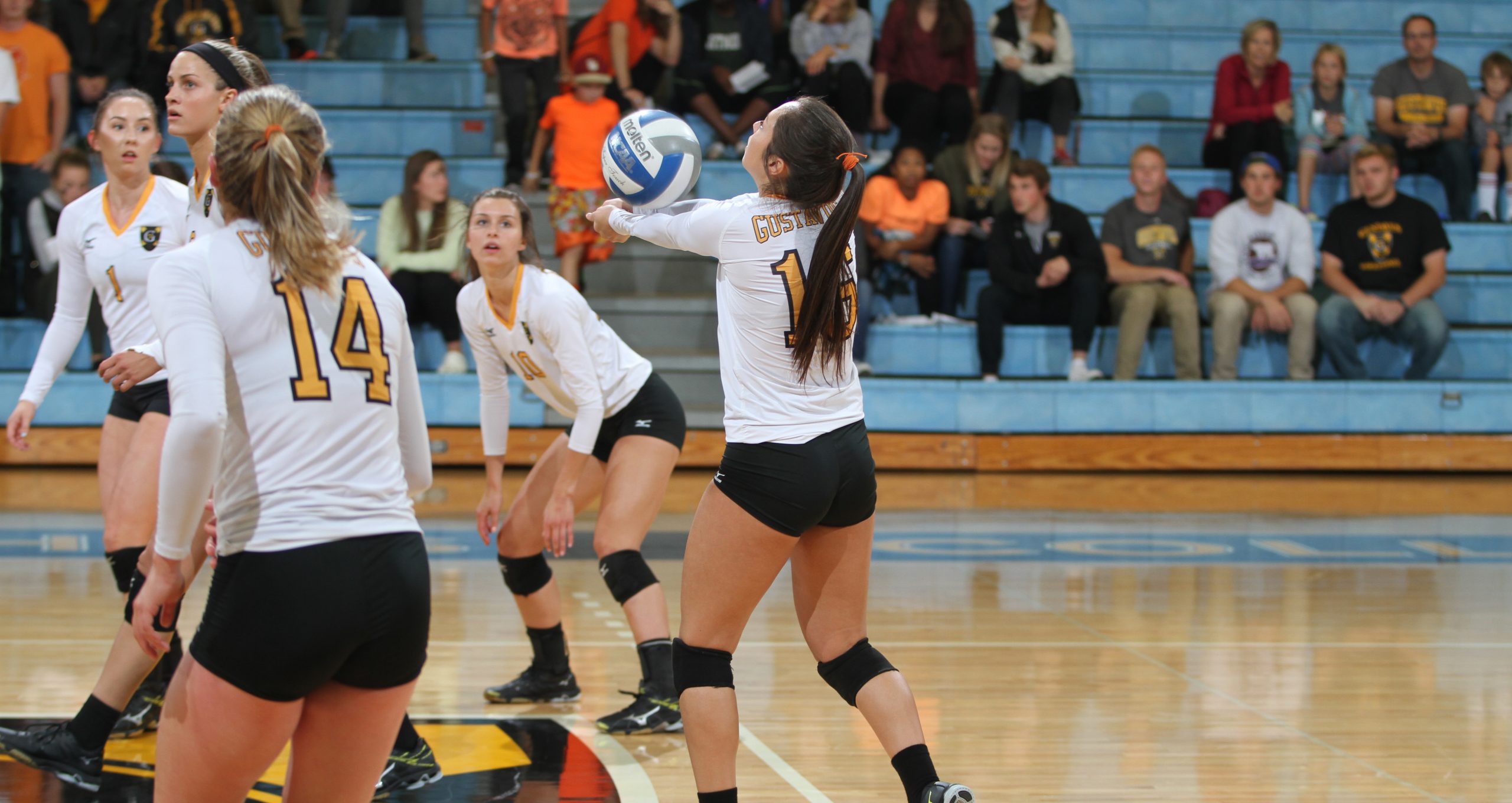 Volleyball Splits Against Nationally Ranked Opponents