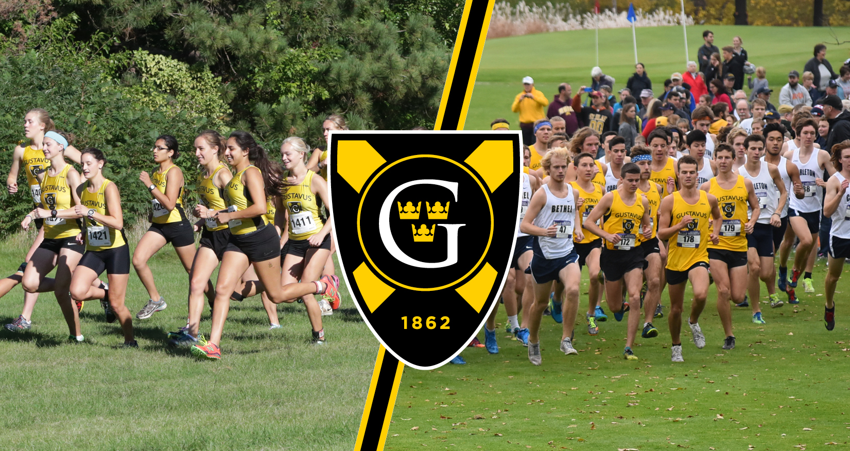 Cross Country Set For NCAA Regionals