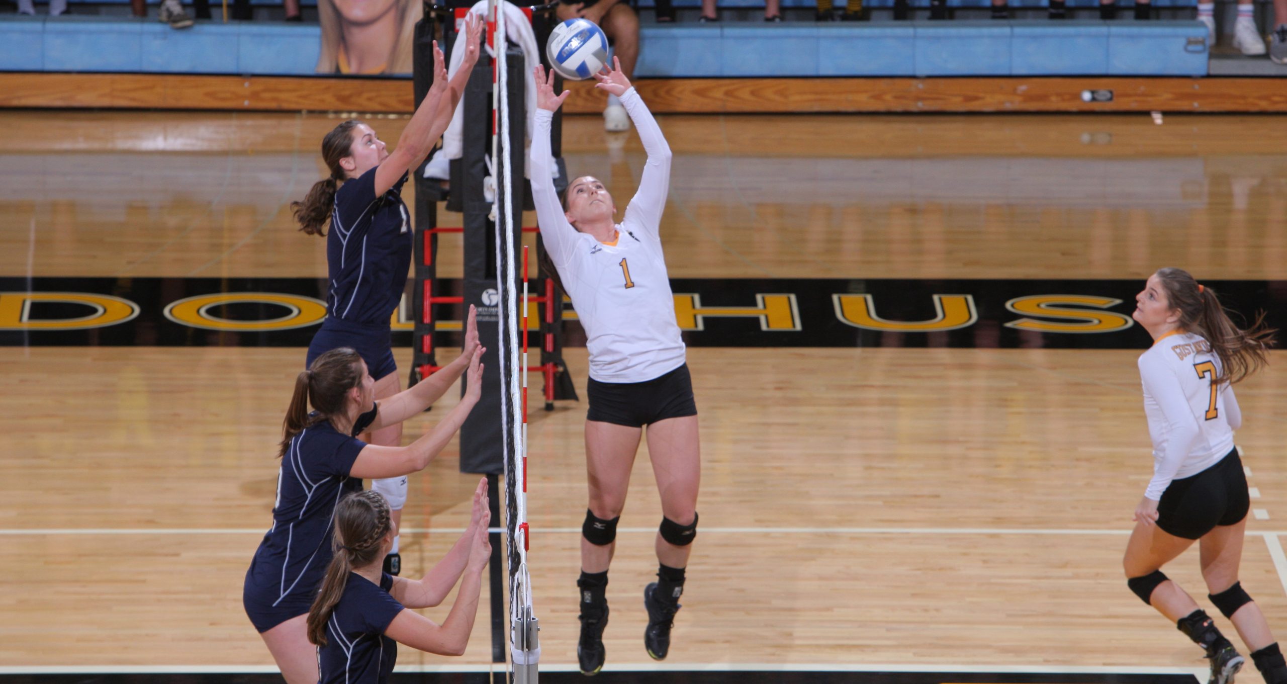 Nora Holtan Named AVCA First Team All-America