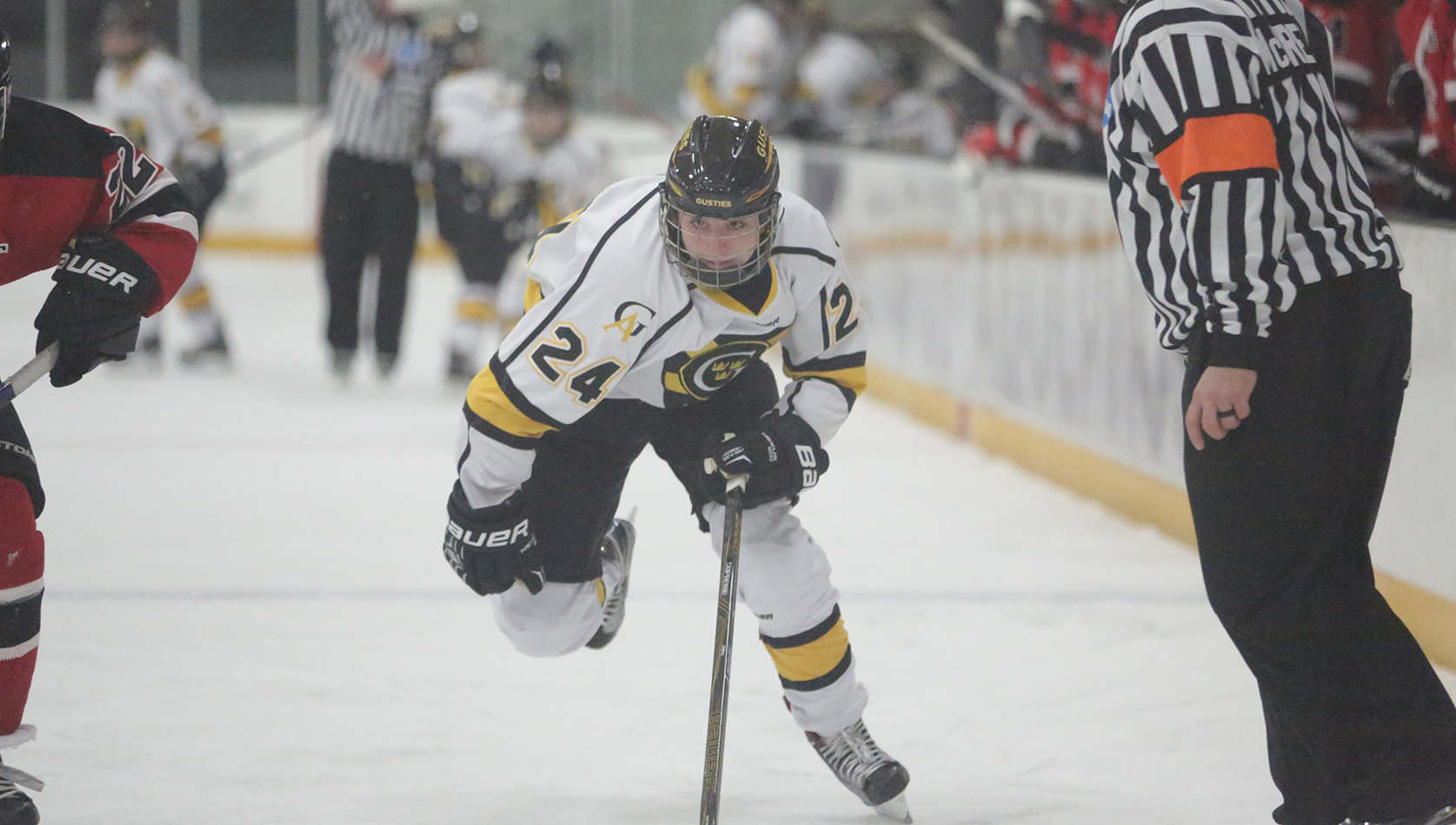 Women’s Hockey Swept By Falcons