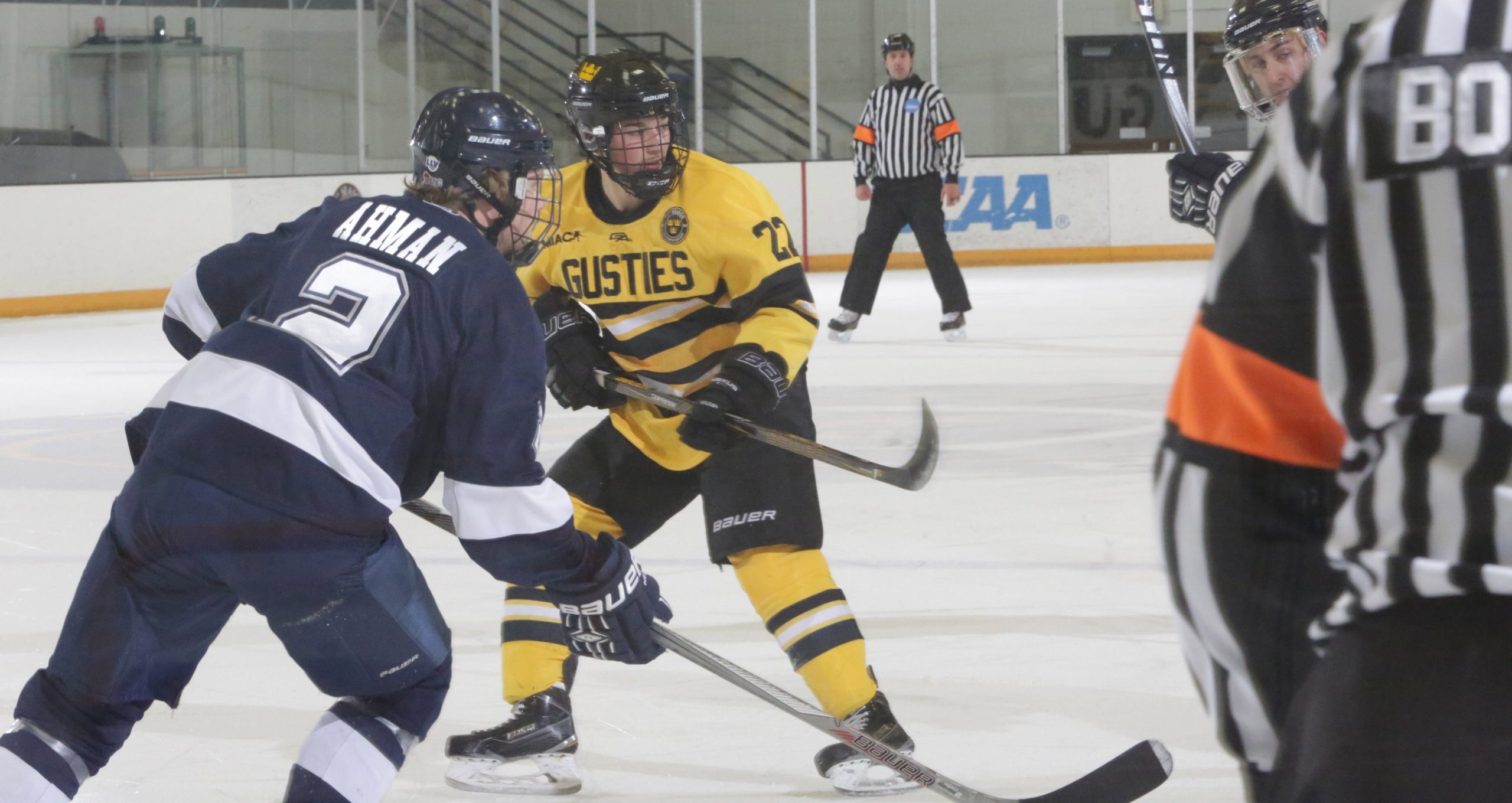 Men’s Hockey Stumbles Late In 5-3 Loss At UW-Superior