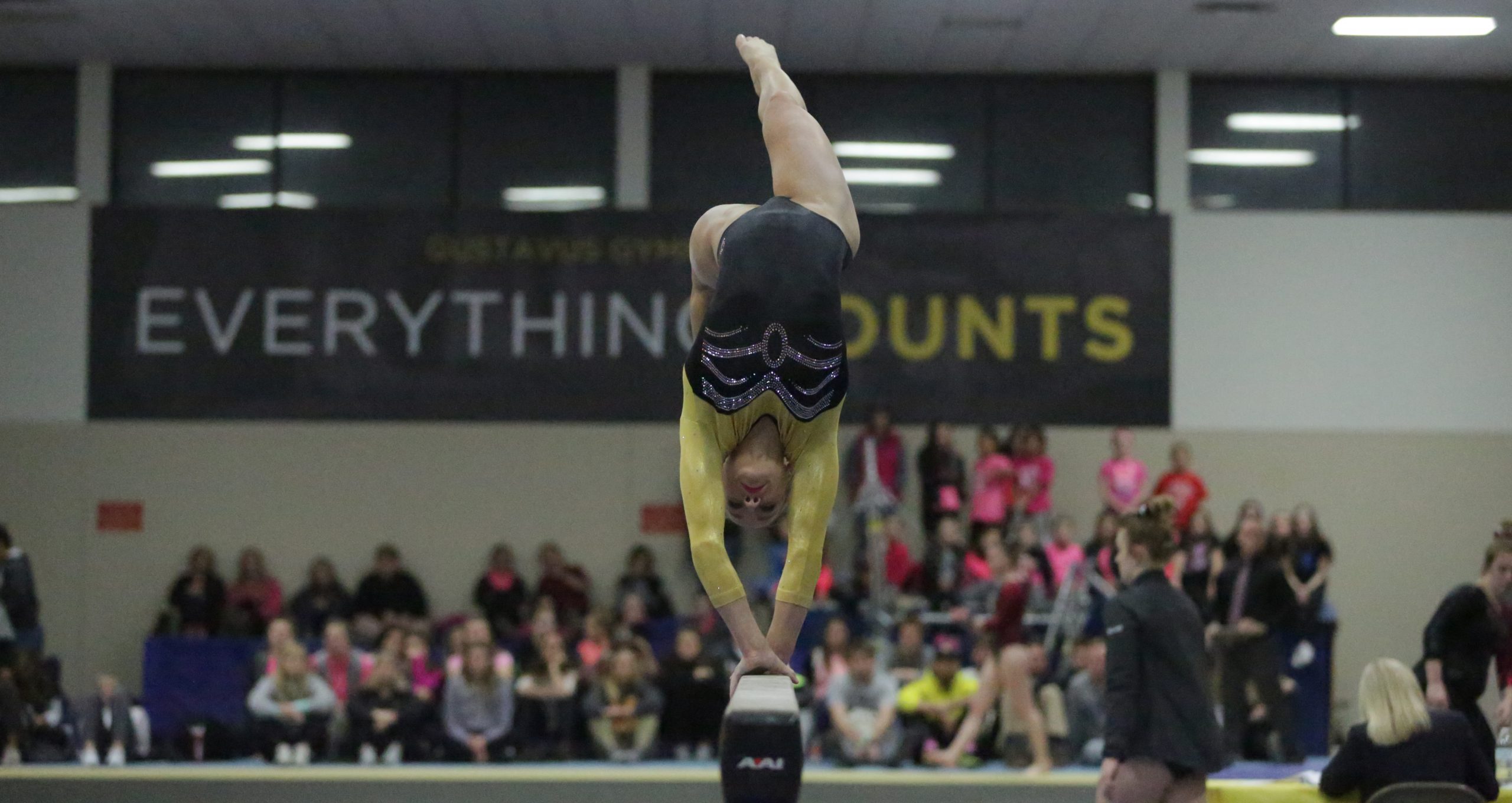 Twice In A Row, Gymnastics Tallies Second Highest Team Score In Program History