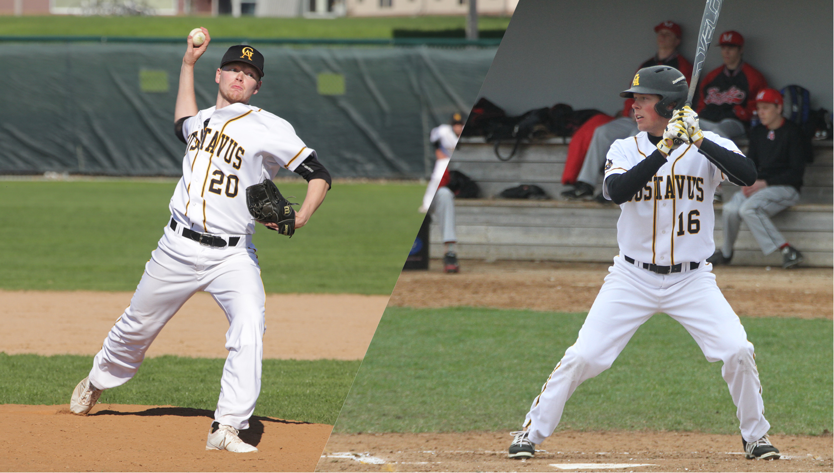 Chatfield, Lewandoski Named MIAC Baseball All-Conference