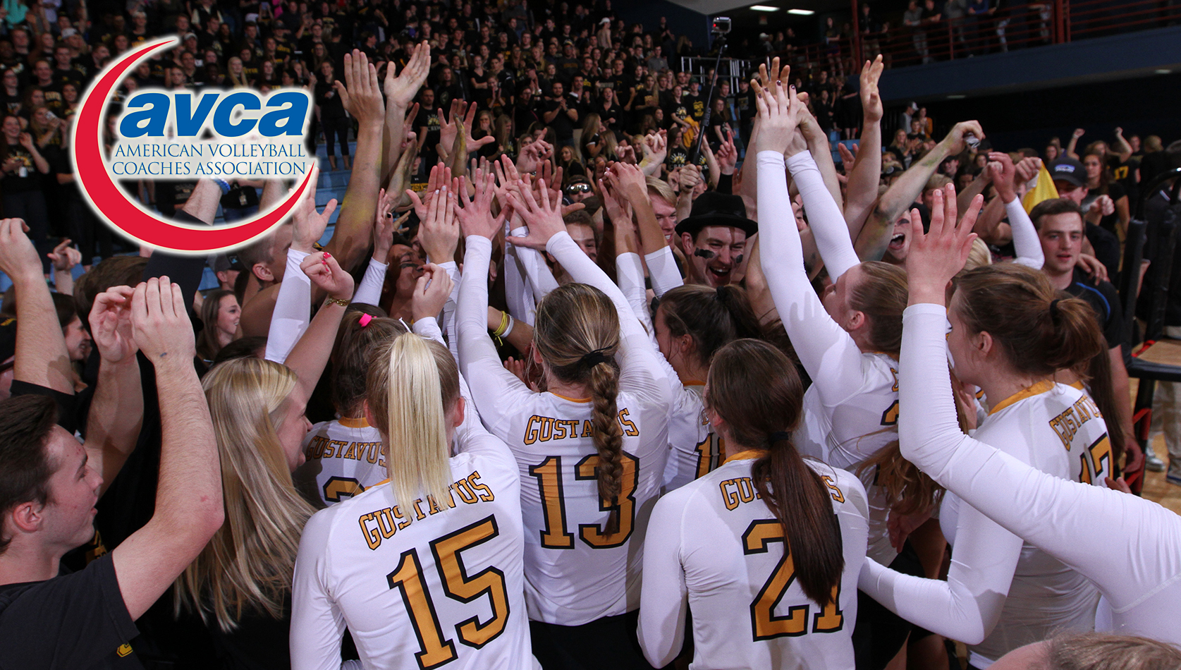 Volleyball Ranked No. 24 In AVCA Preseason Poll