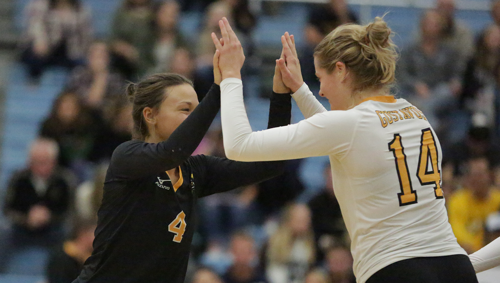 Volleyball Claims Two More Wins To Conclude UW-Eau Claire Tourney