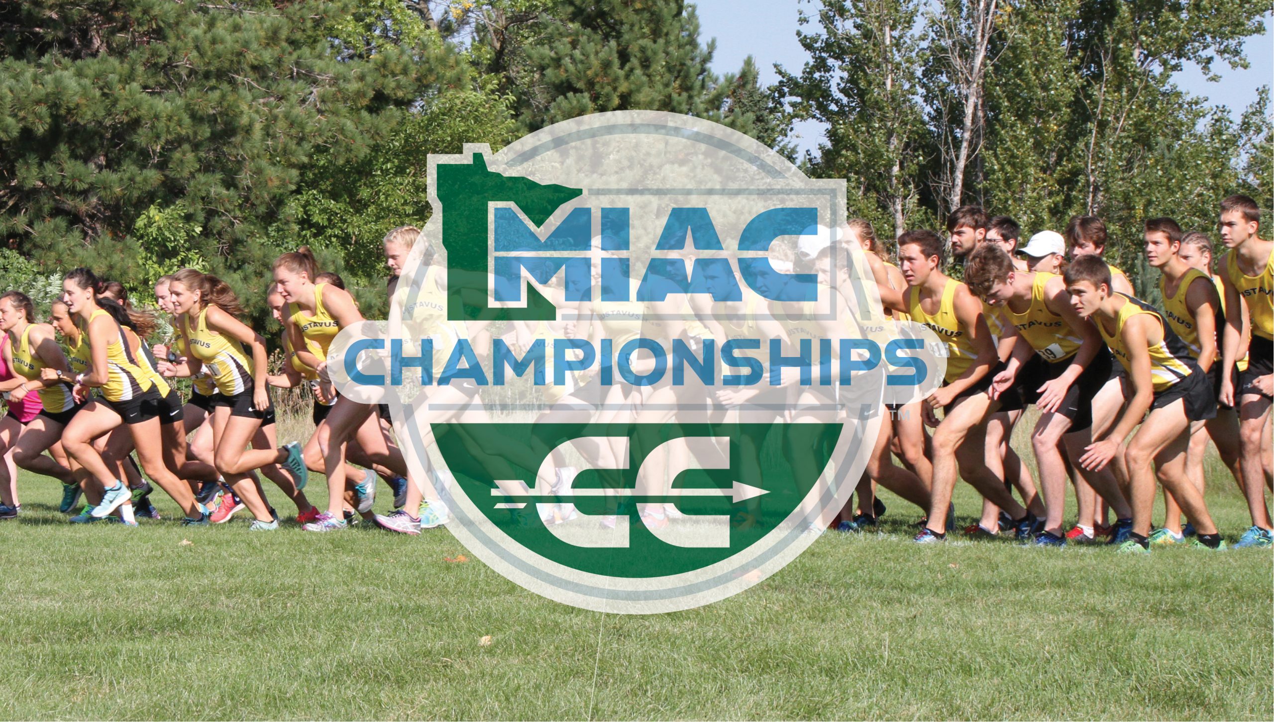 Cross Country Ready For MIAC Championships