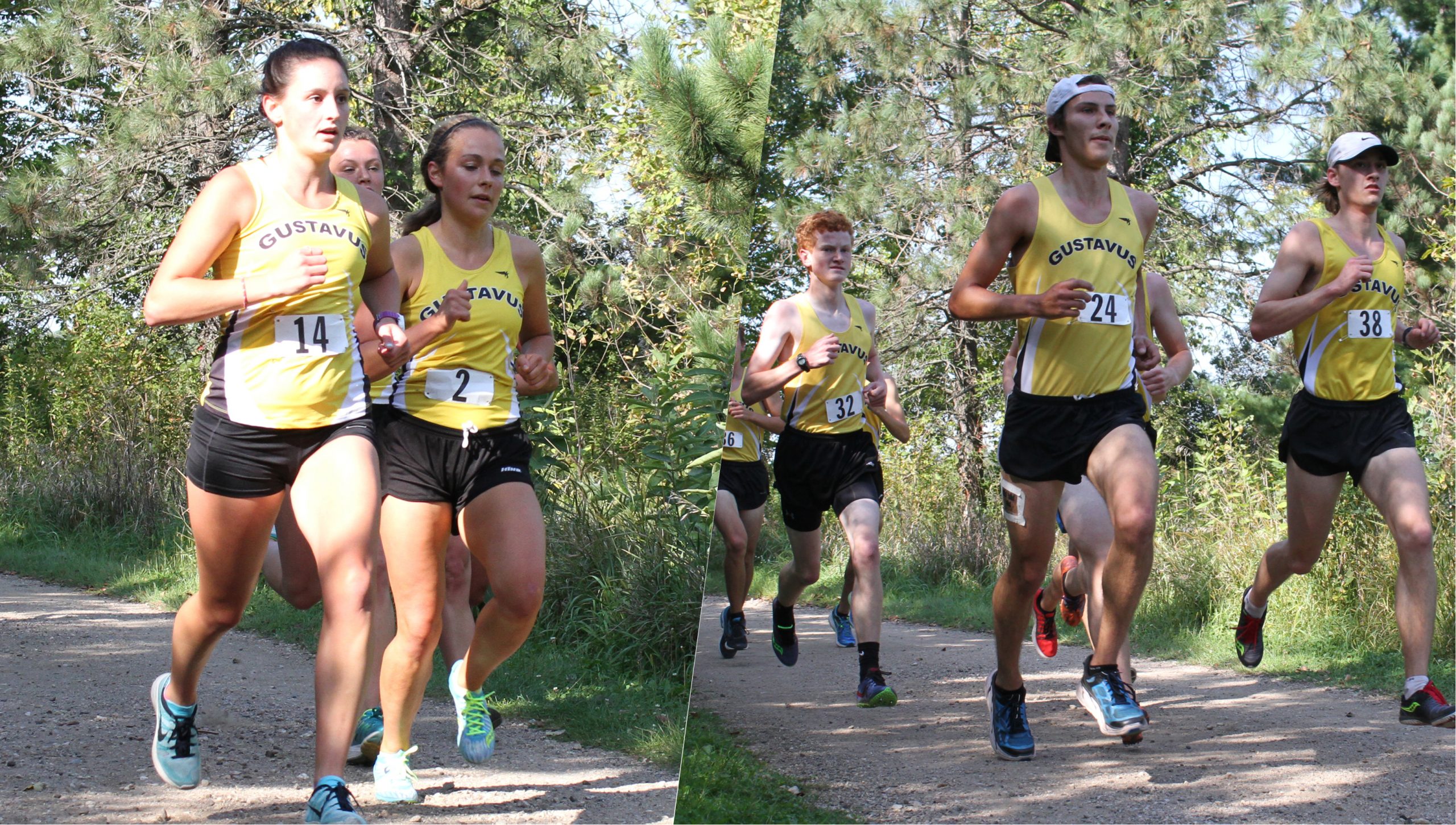 Women’s Cross Country Places Sixth At UW-La Crosse Invite, Men 15th