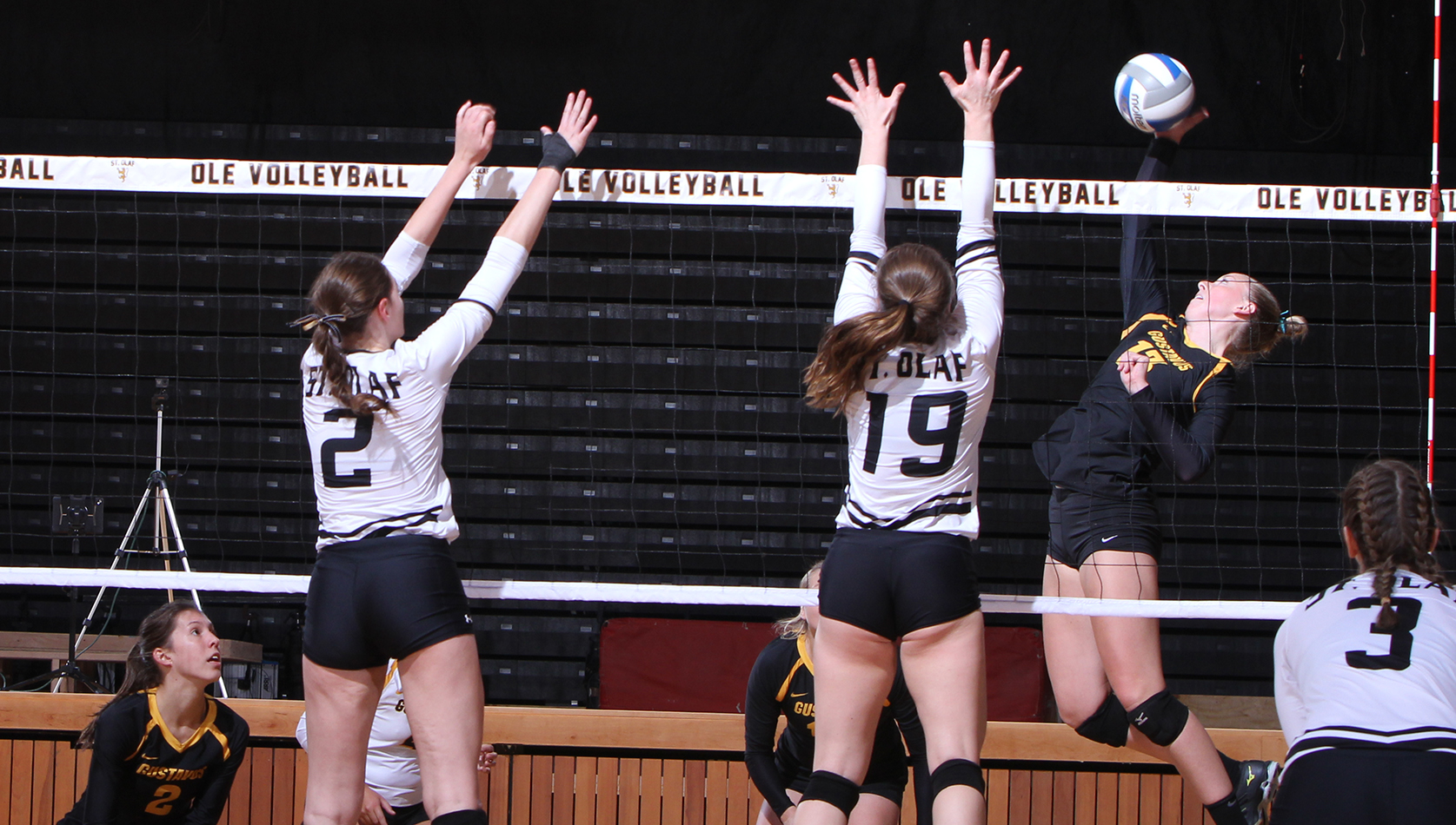 Volleyball Claims Third Consecutive Sweep At St. Olaf