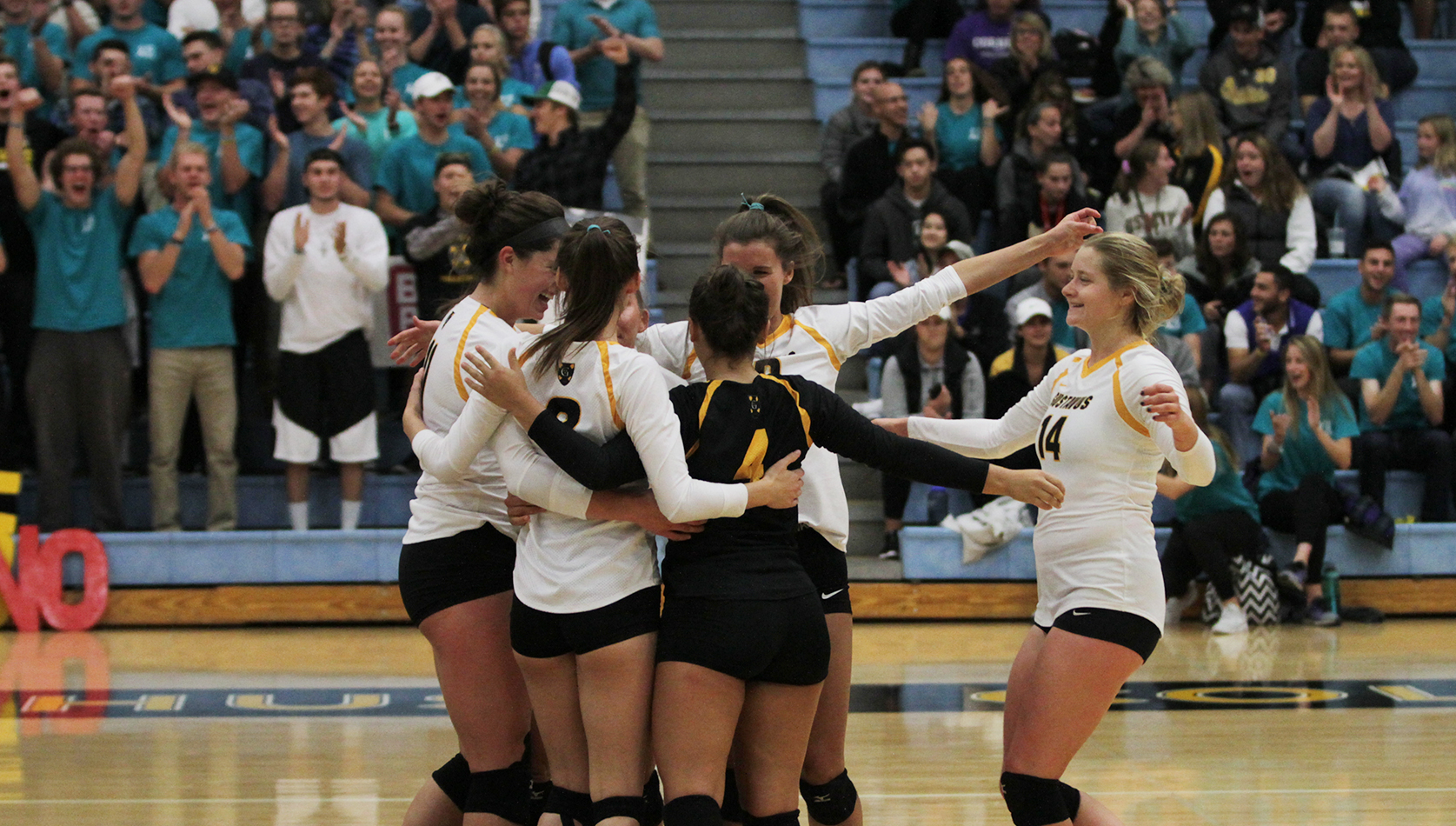 Gusties Sweep Tommies To Claim Top Position In MIAC Standings