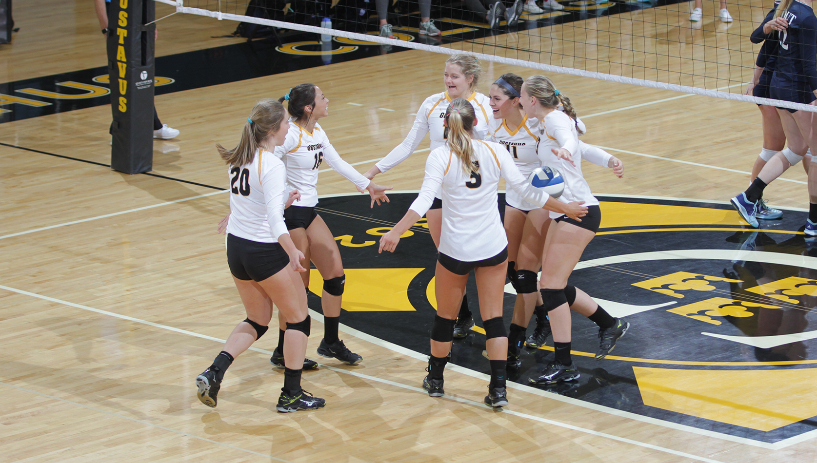 No. 11 Volleyball Sweeps UW-Stout