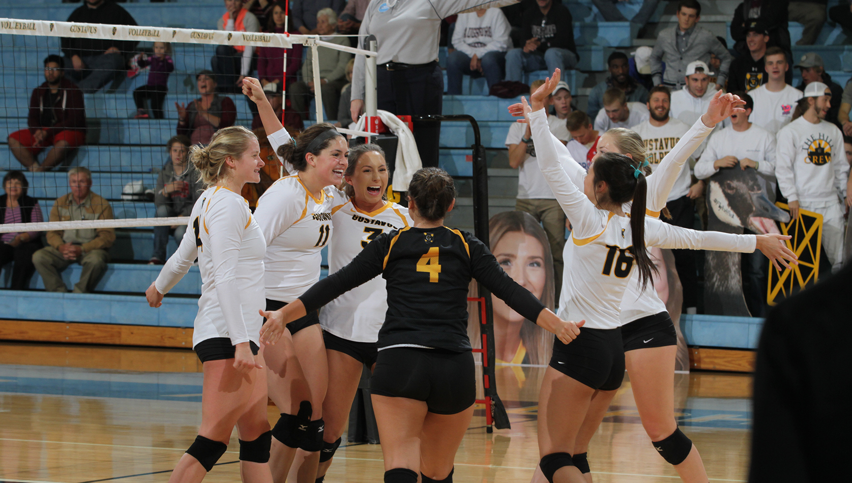 Volleyball Wins Five-Set Thriller Over Augsburg